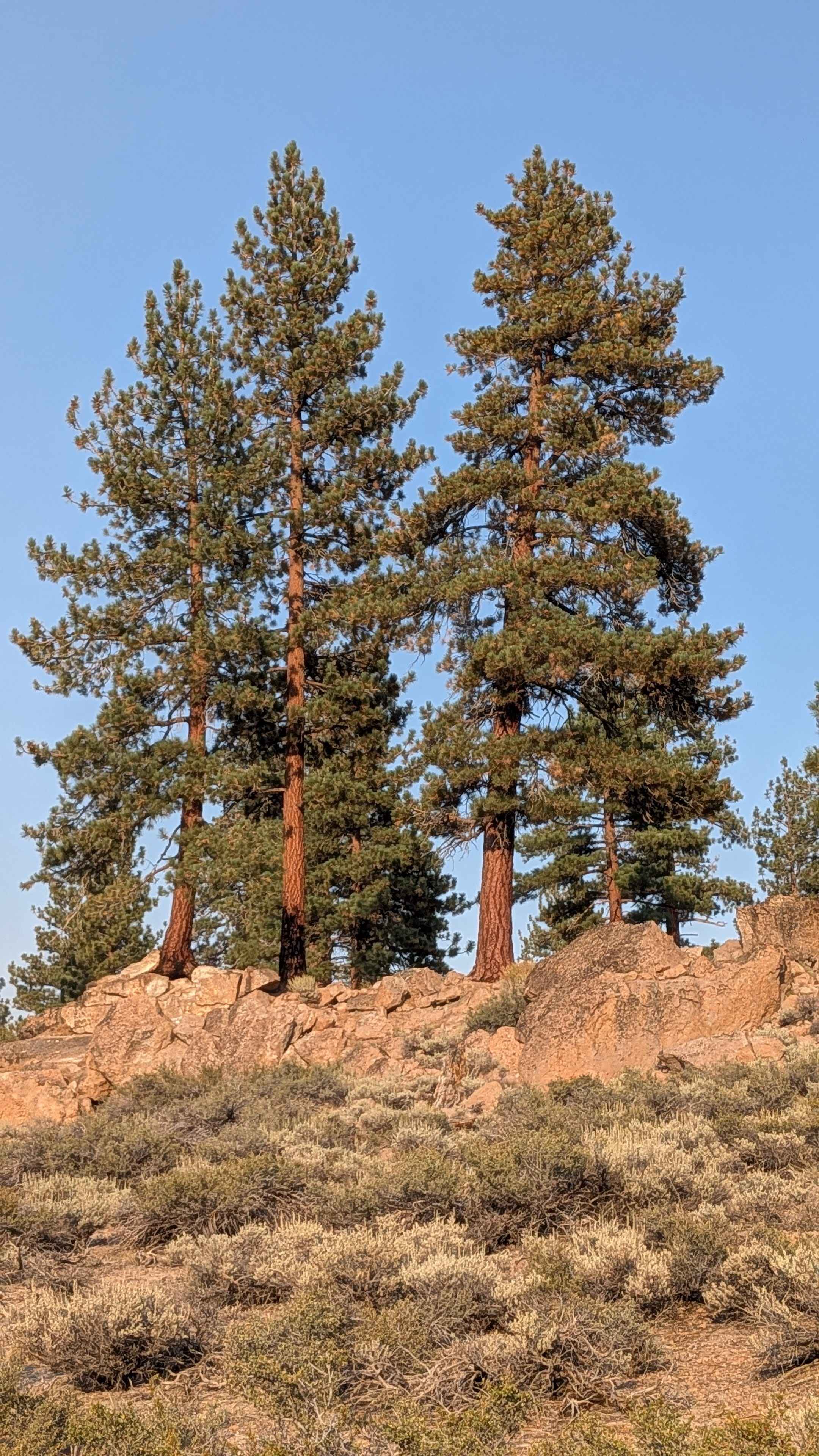 Granite Boulder Scenic Road - FS 4S40