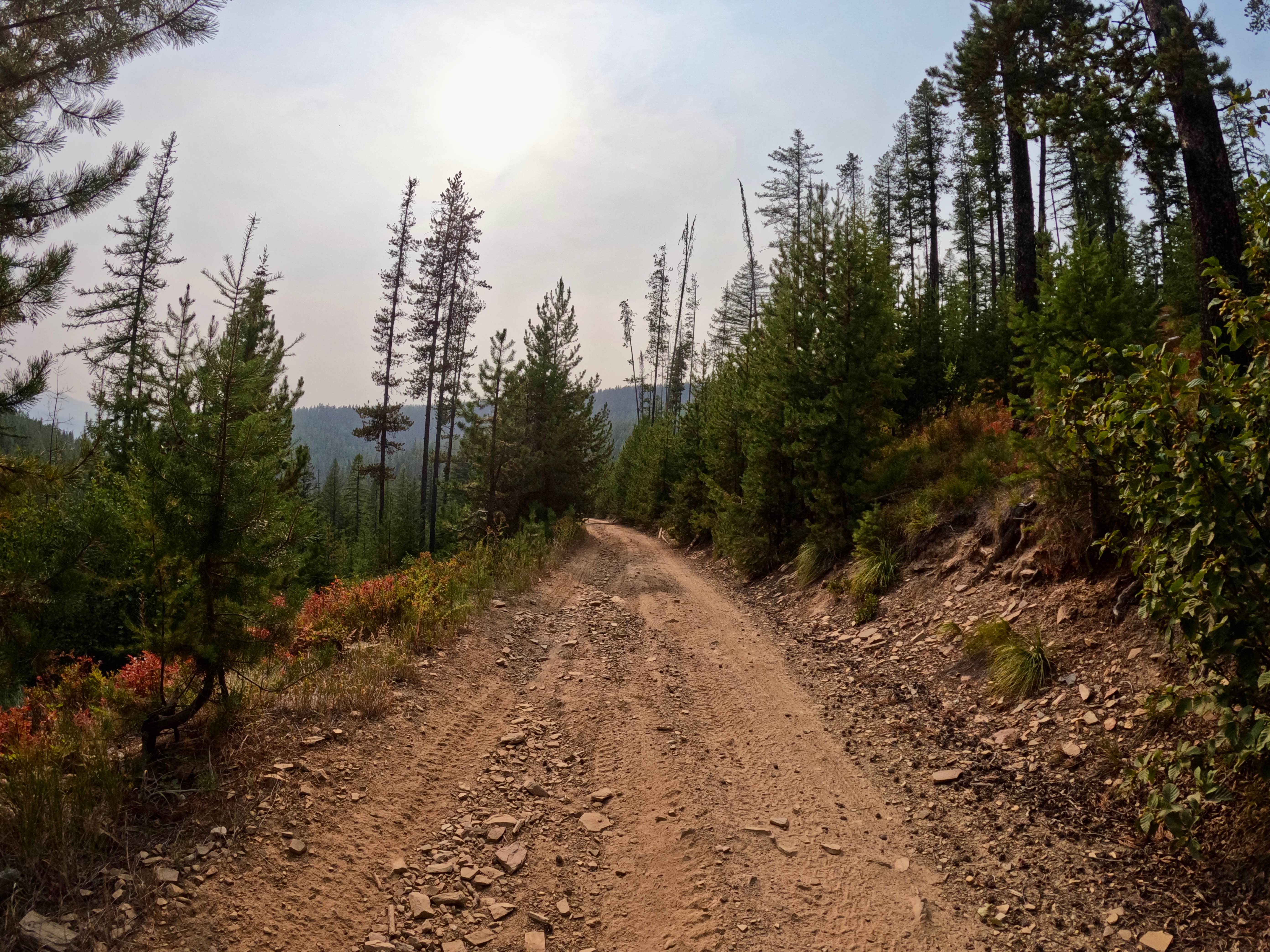Thompson Falls and Rock Creek Trail - FS 352 / 378