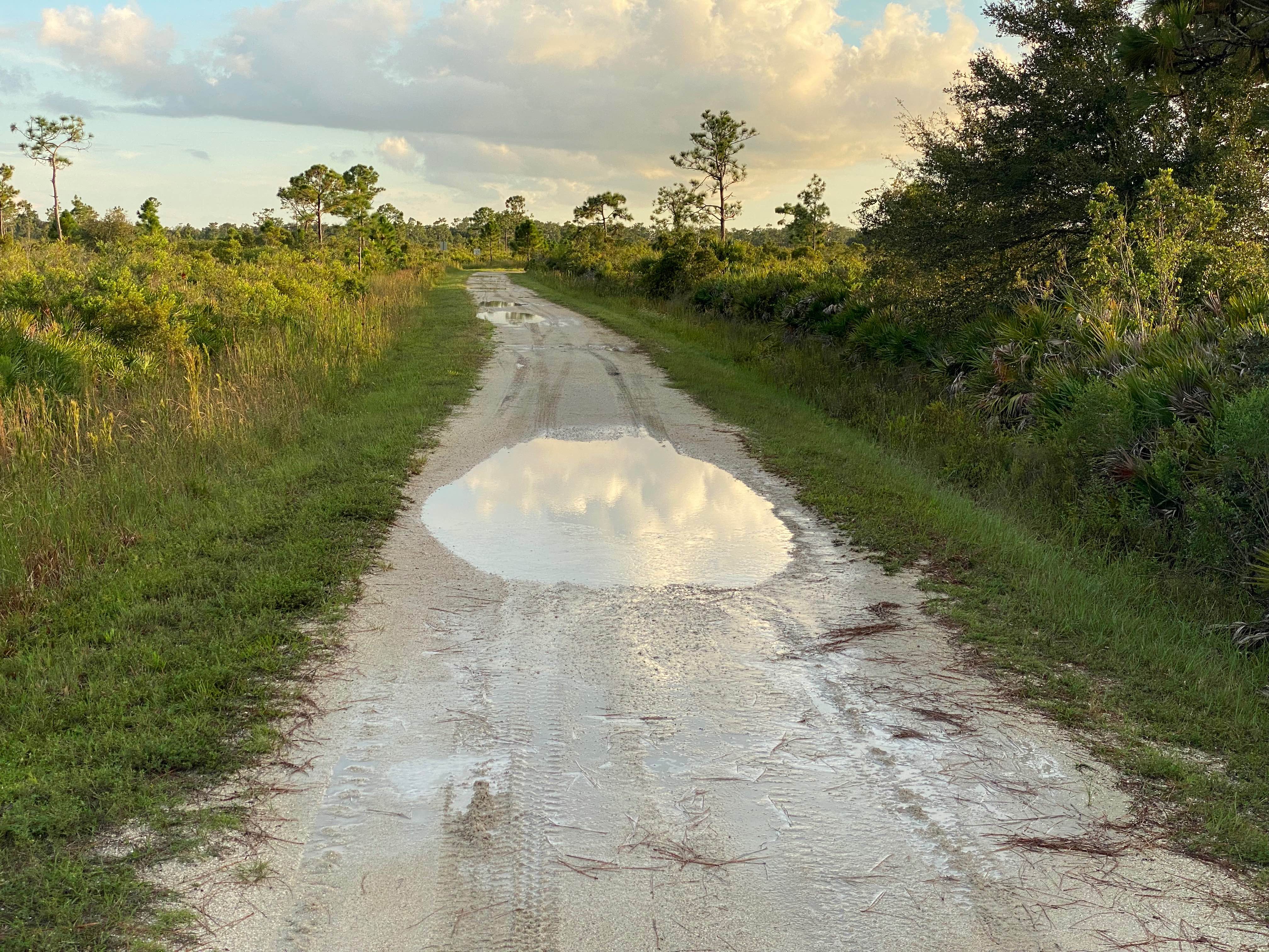 Prairie Creek Preserve