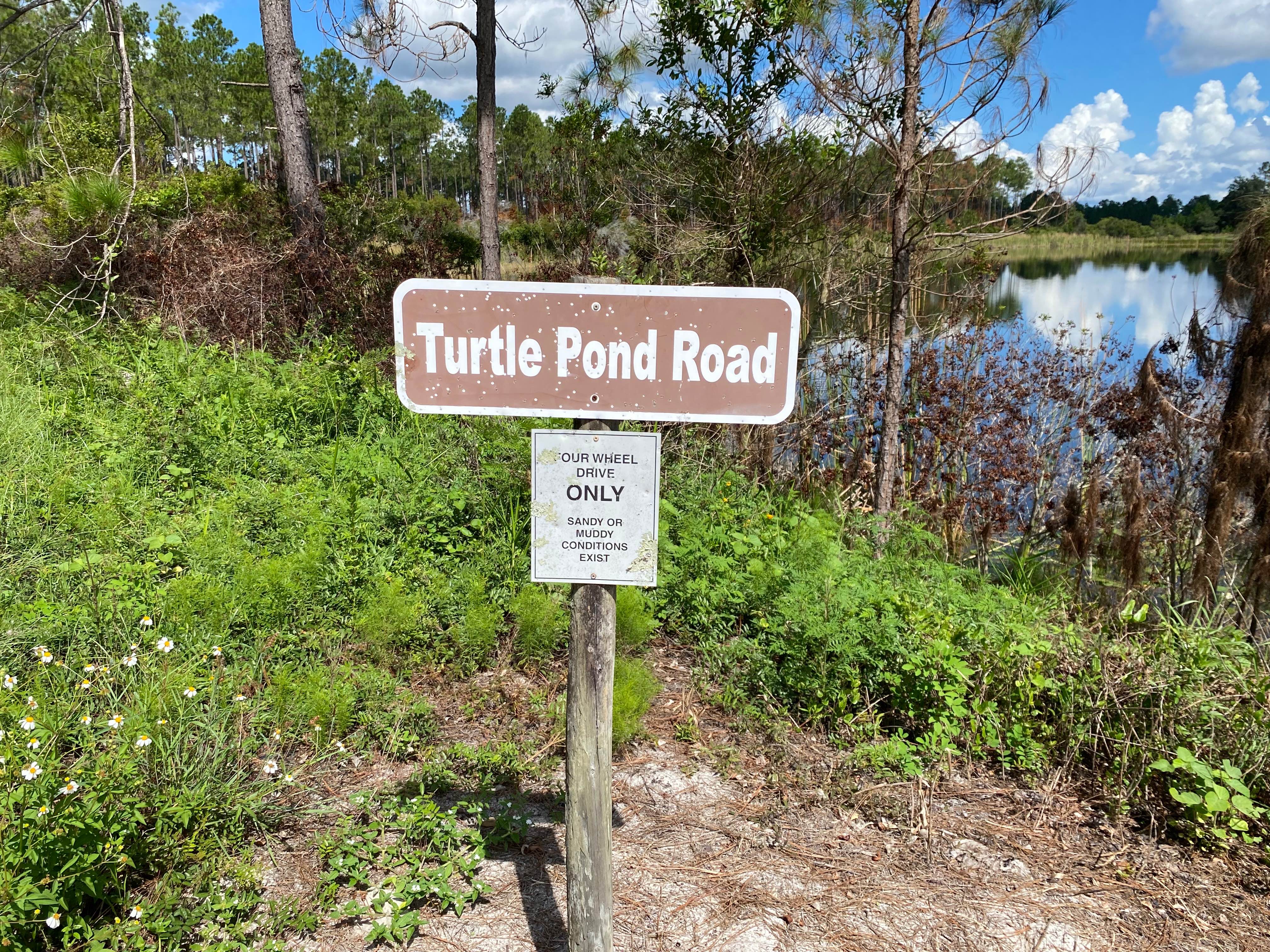 Turtle Pond Road