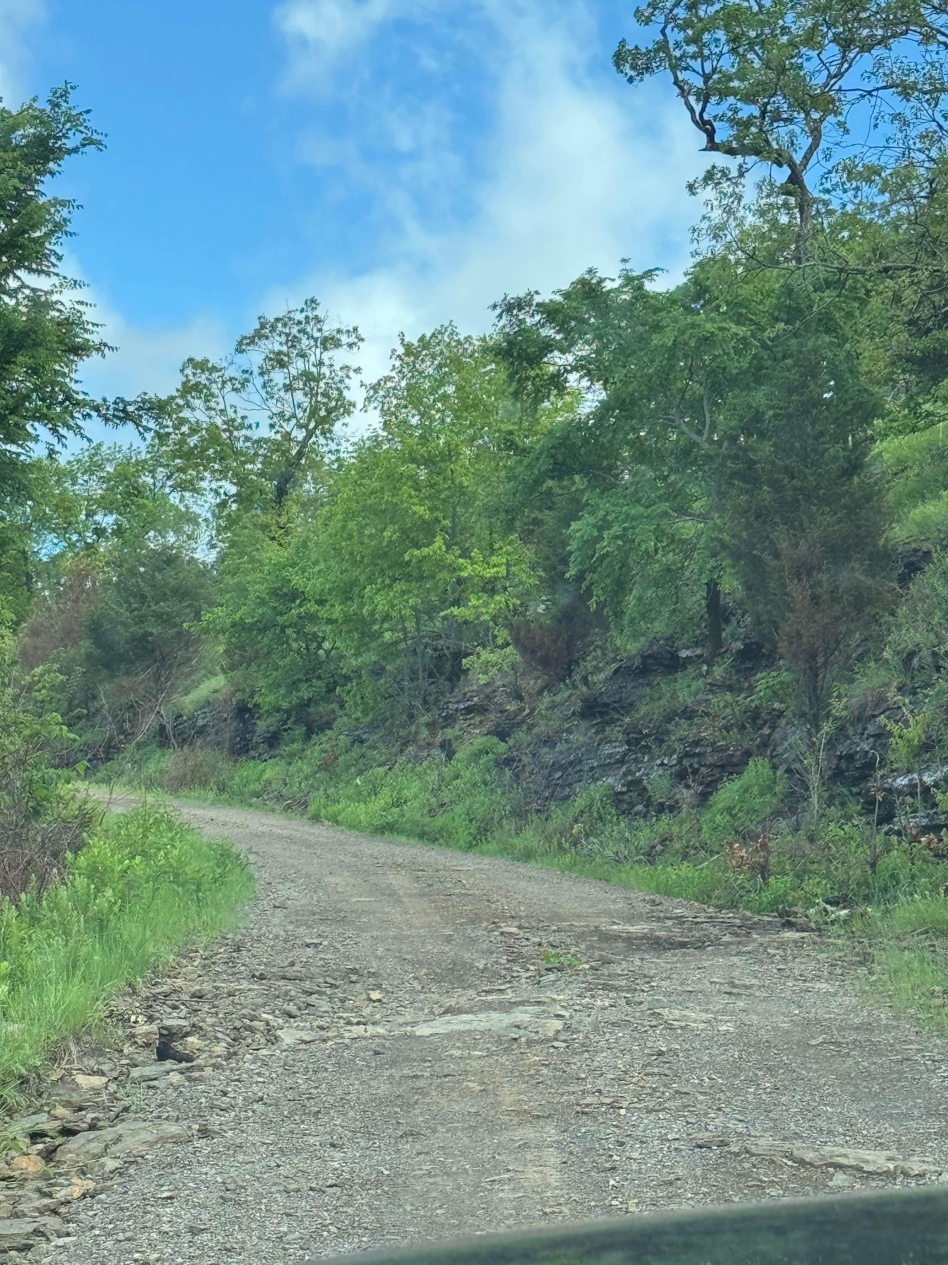 Pilot Rock Mountain Road
