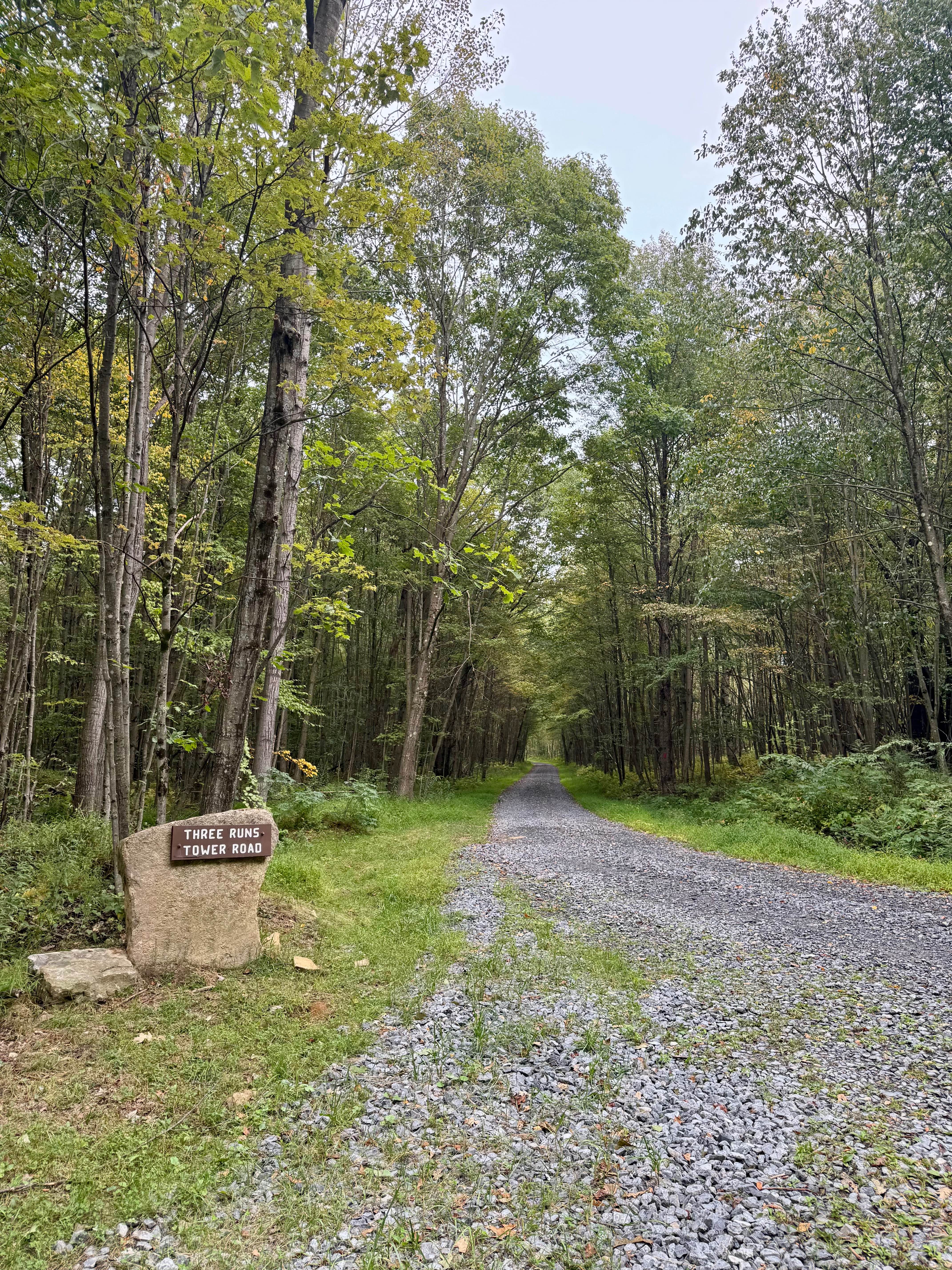 Three Runs Tower Road / Chestnut Draft Road