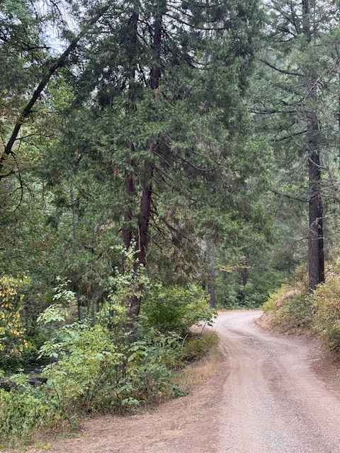 Payette Trail - FS 970