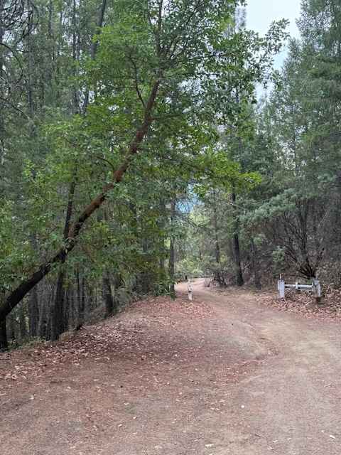 Payette Trail - FS 970