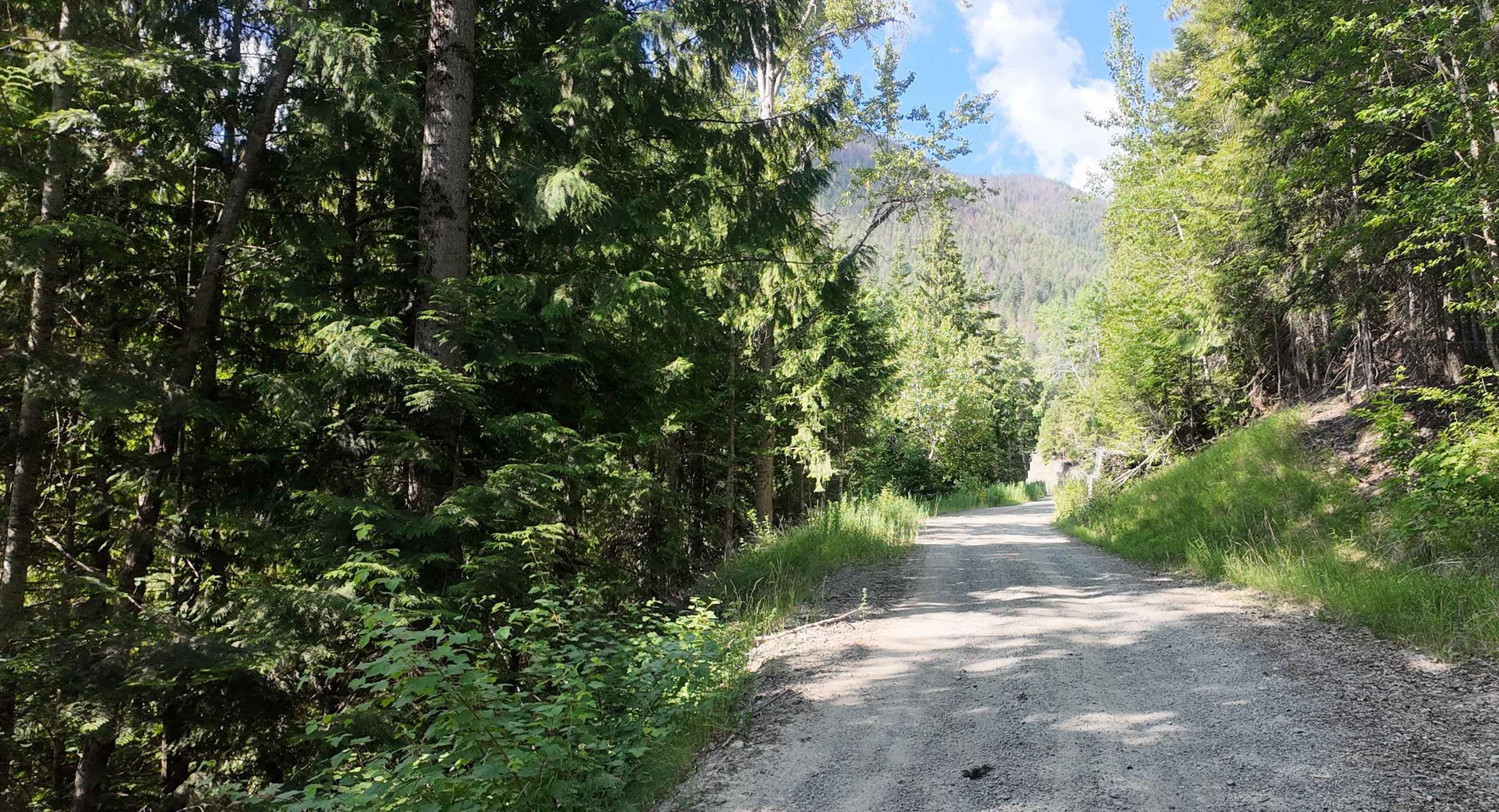 Trout Creek of the Selkirk