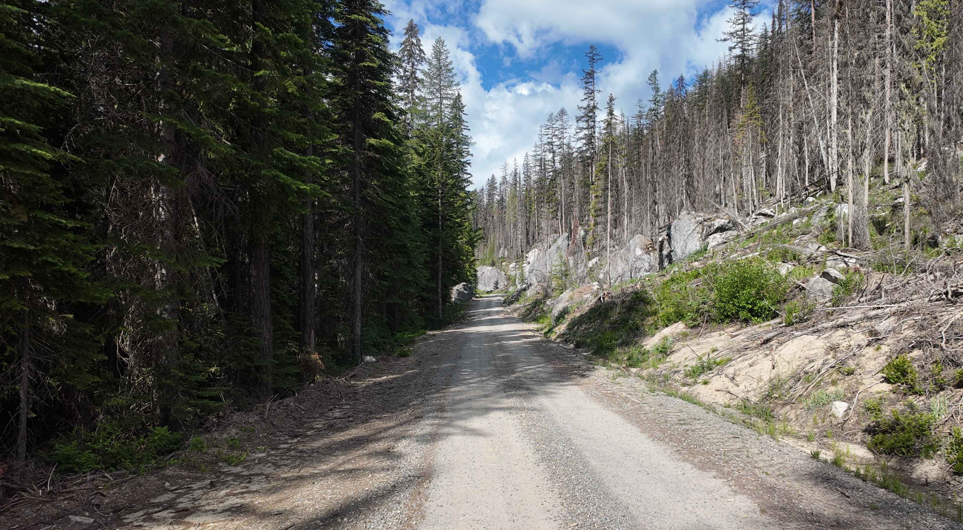 Trout Creek of the Selkirk