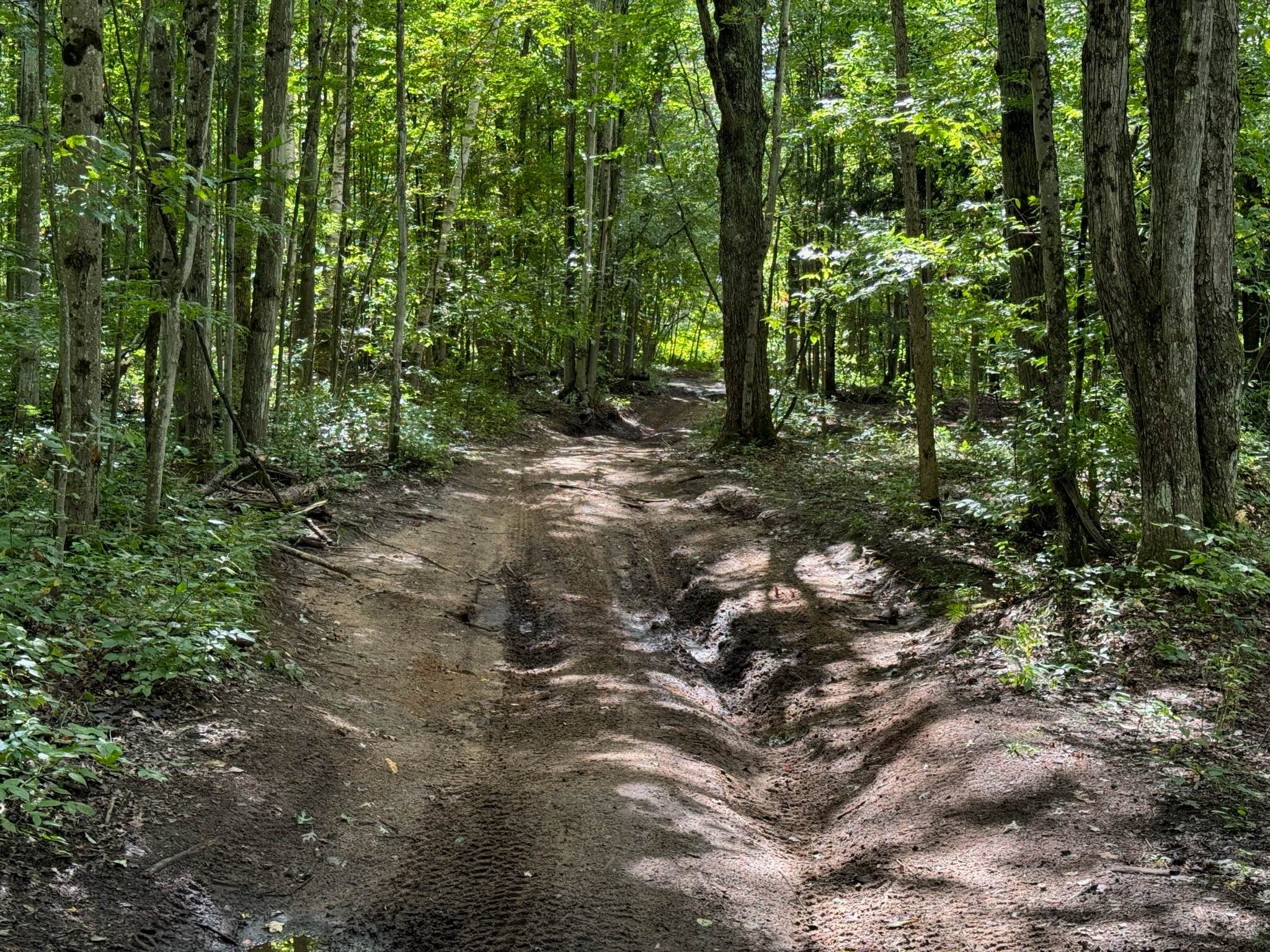 Forest Service Road 7147