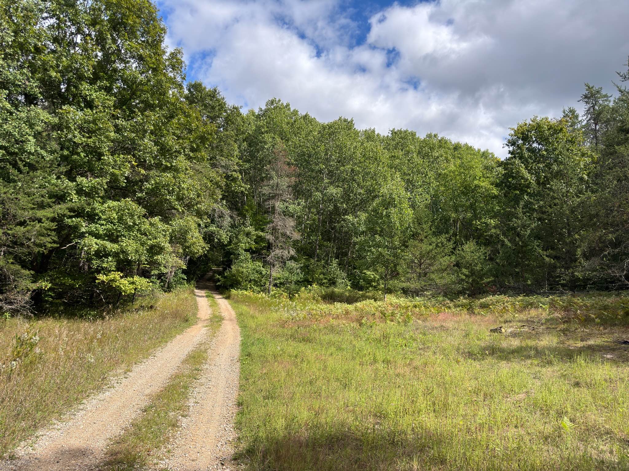 Forest Service Road 5126