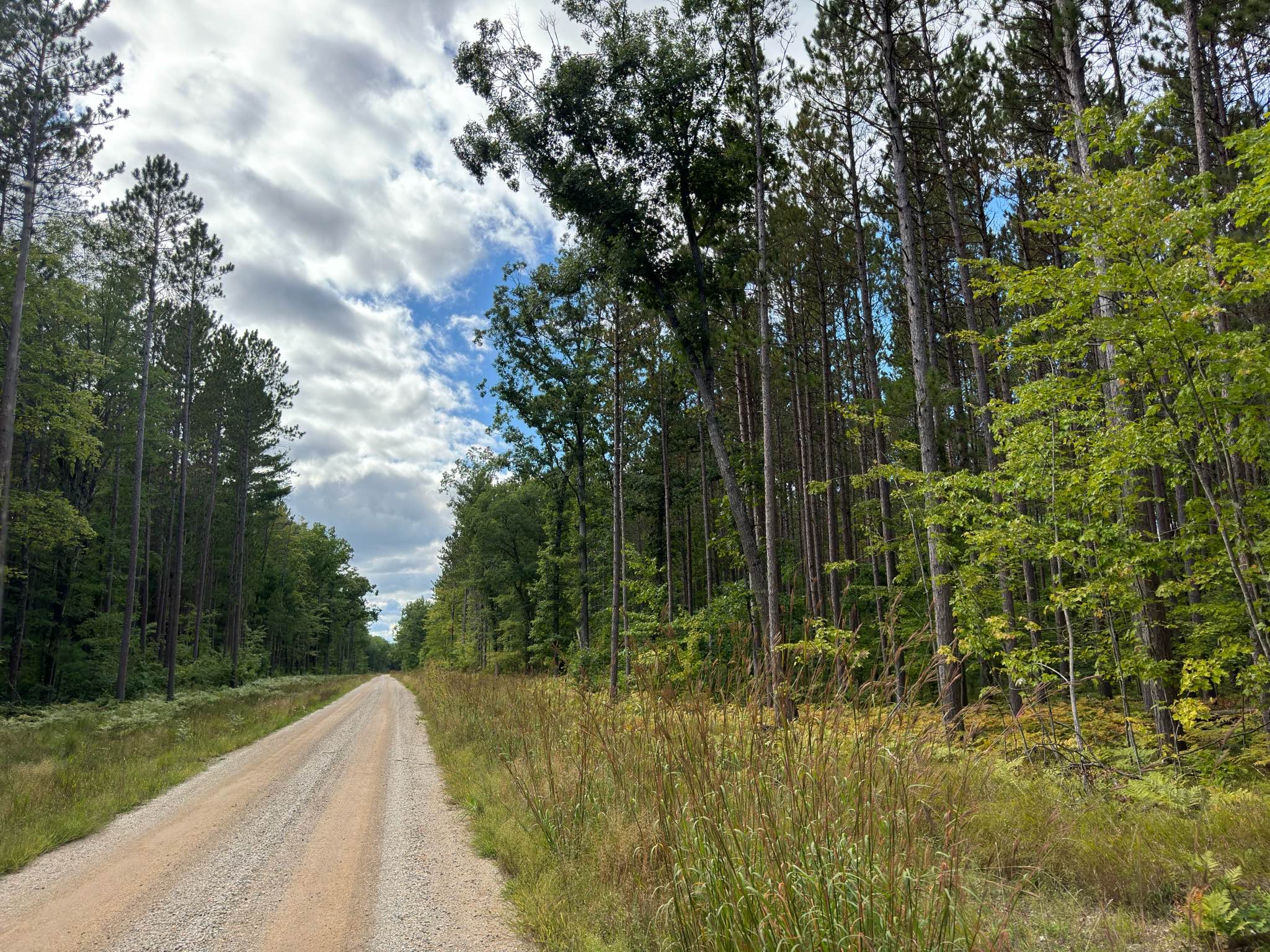 Forest Service Road 9067