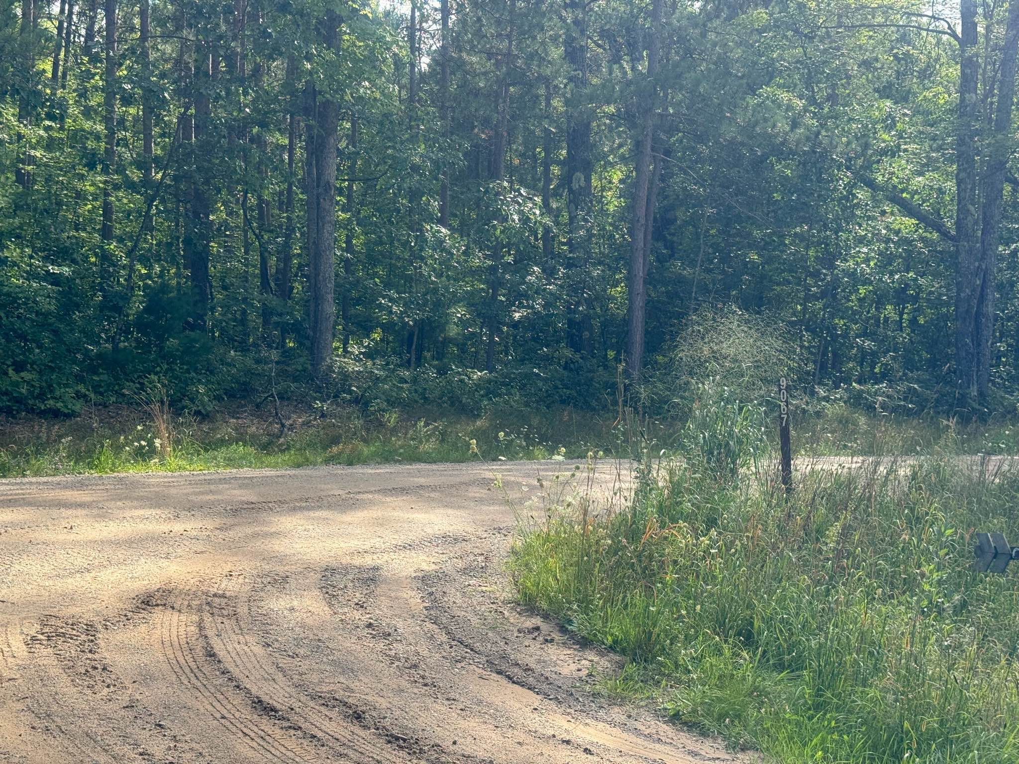 Forest Service Road 9067