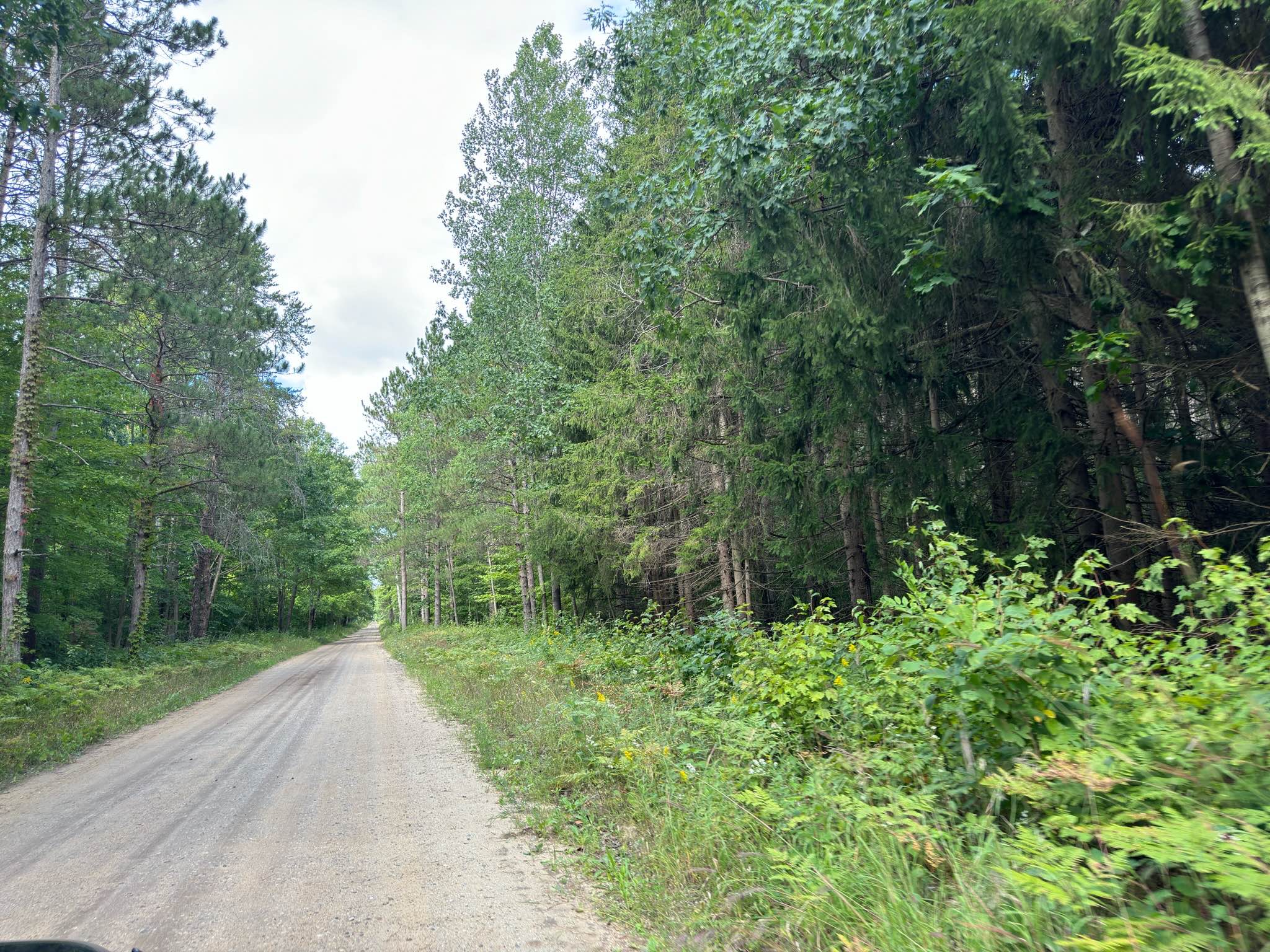 Forest Service Road 9992