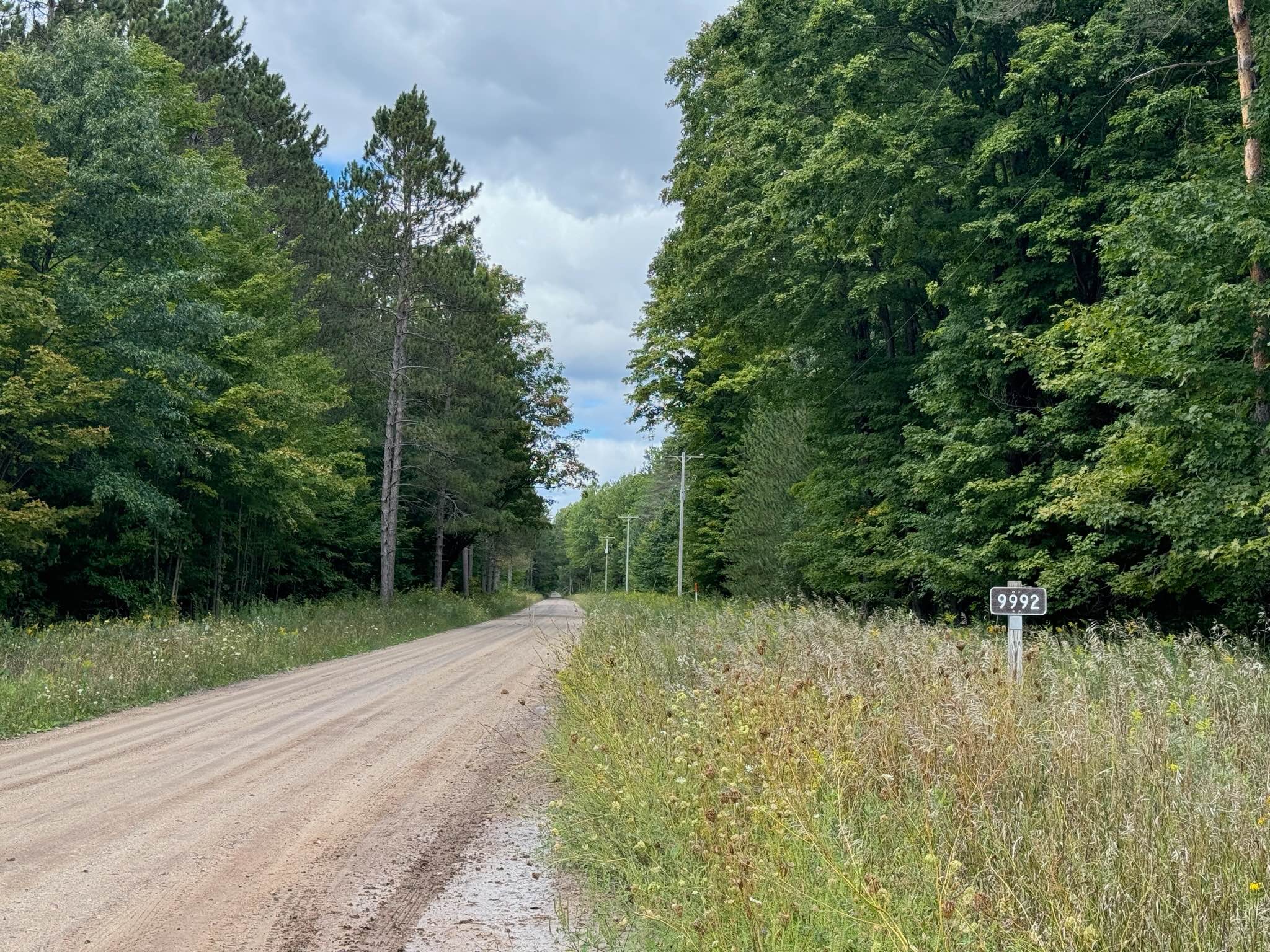 Forest Service Road 9992