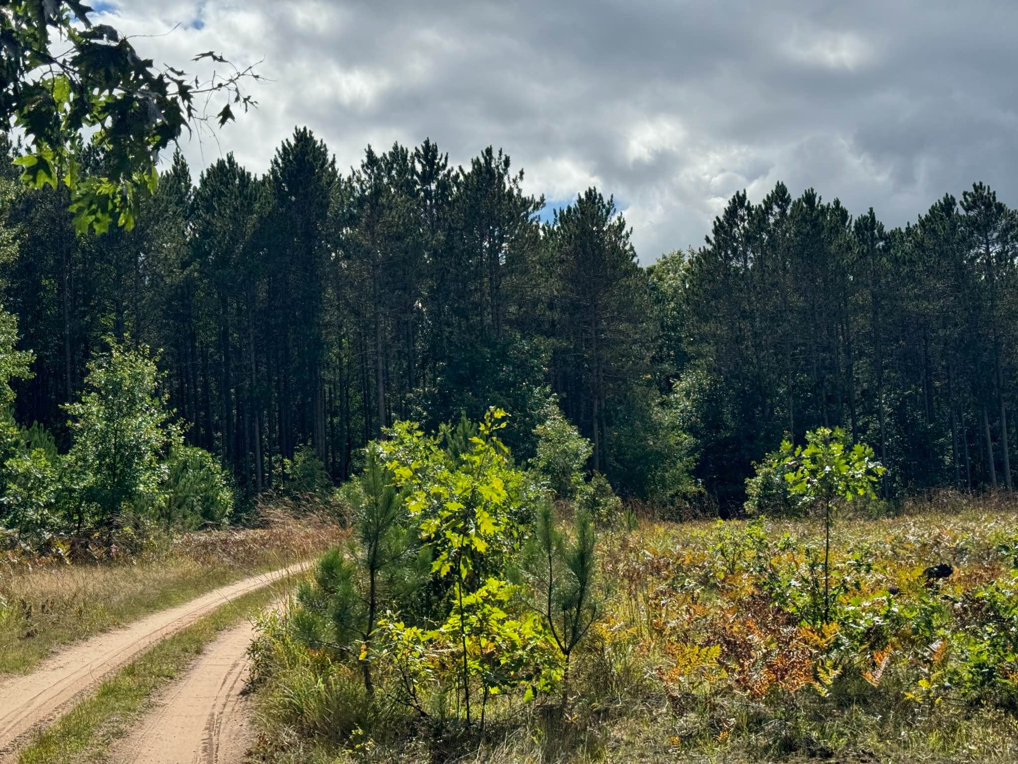 Forest Service Road 7120