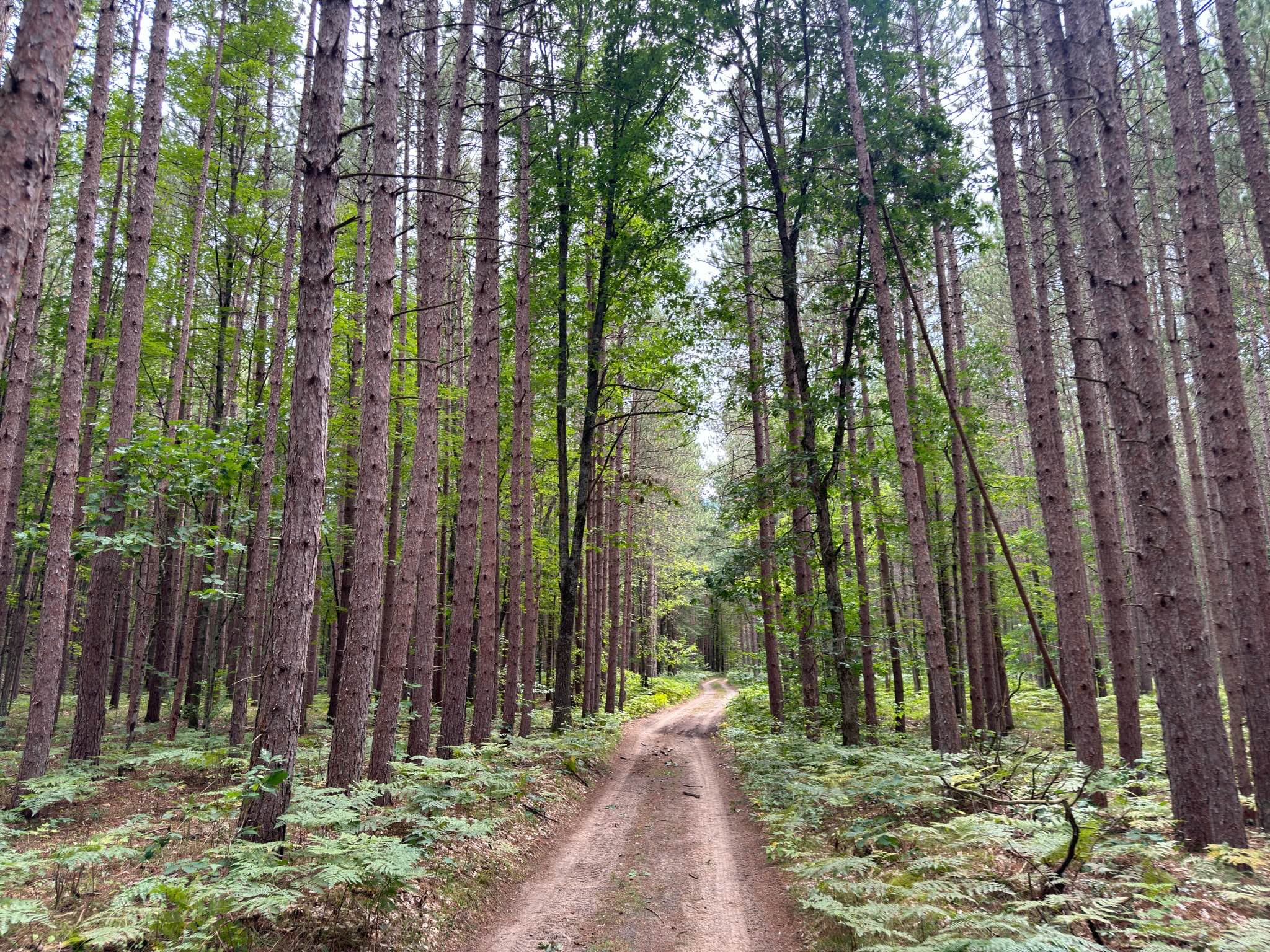 Forest Service Road 7120