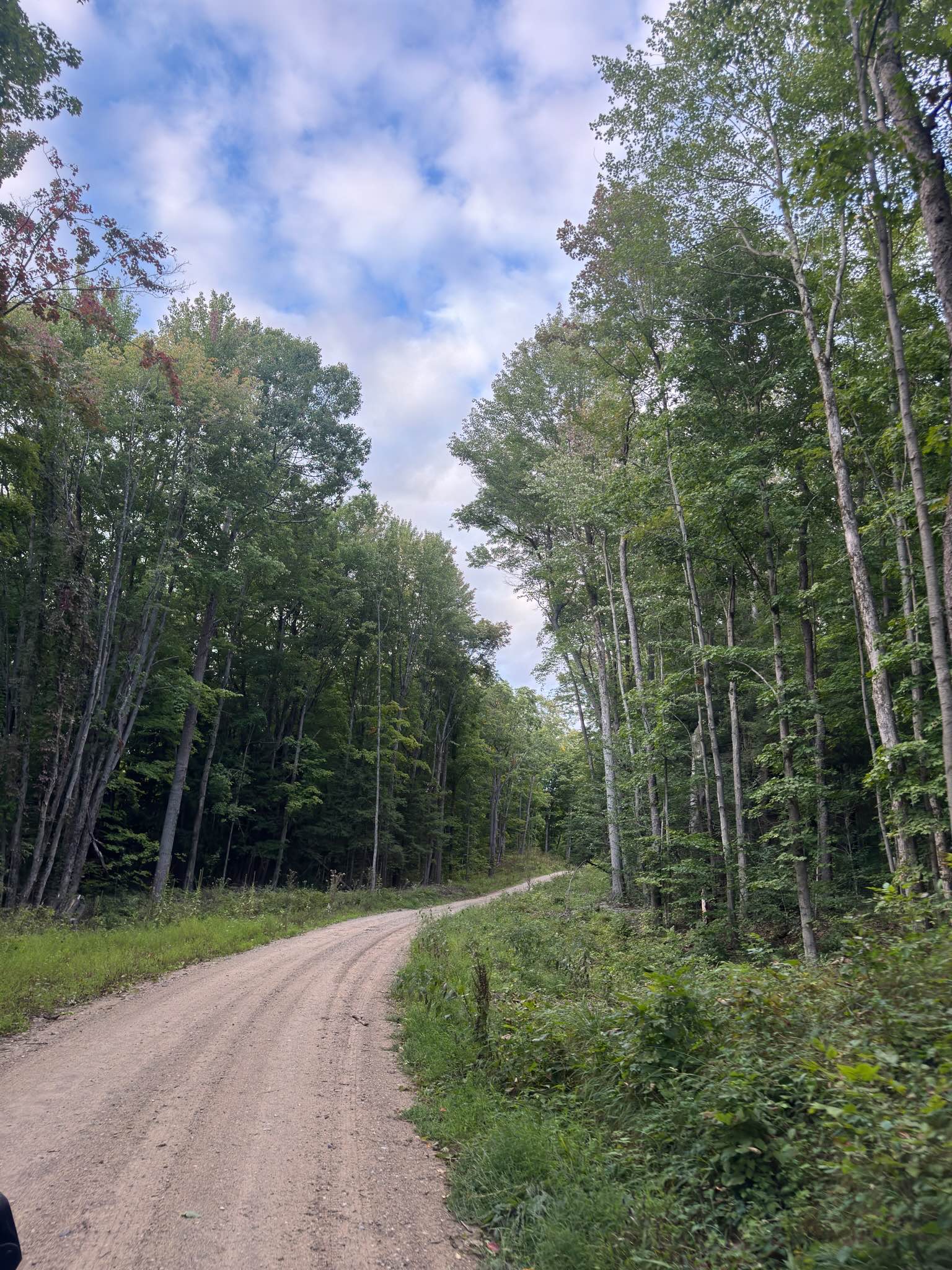 Forest Service Road 9982