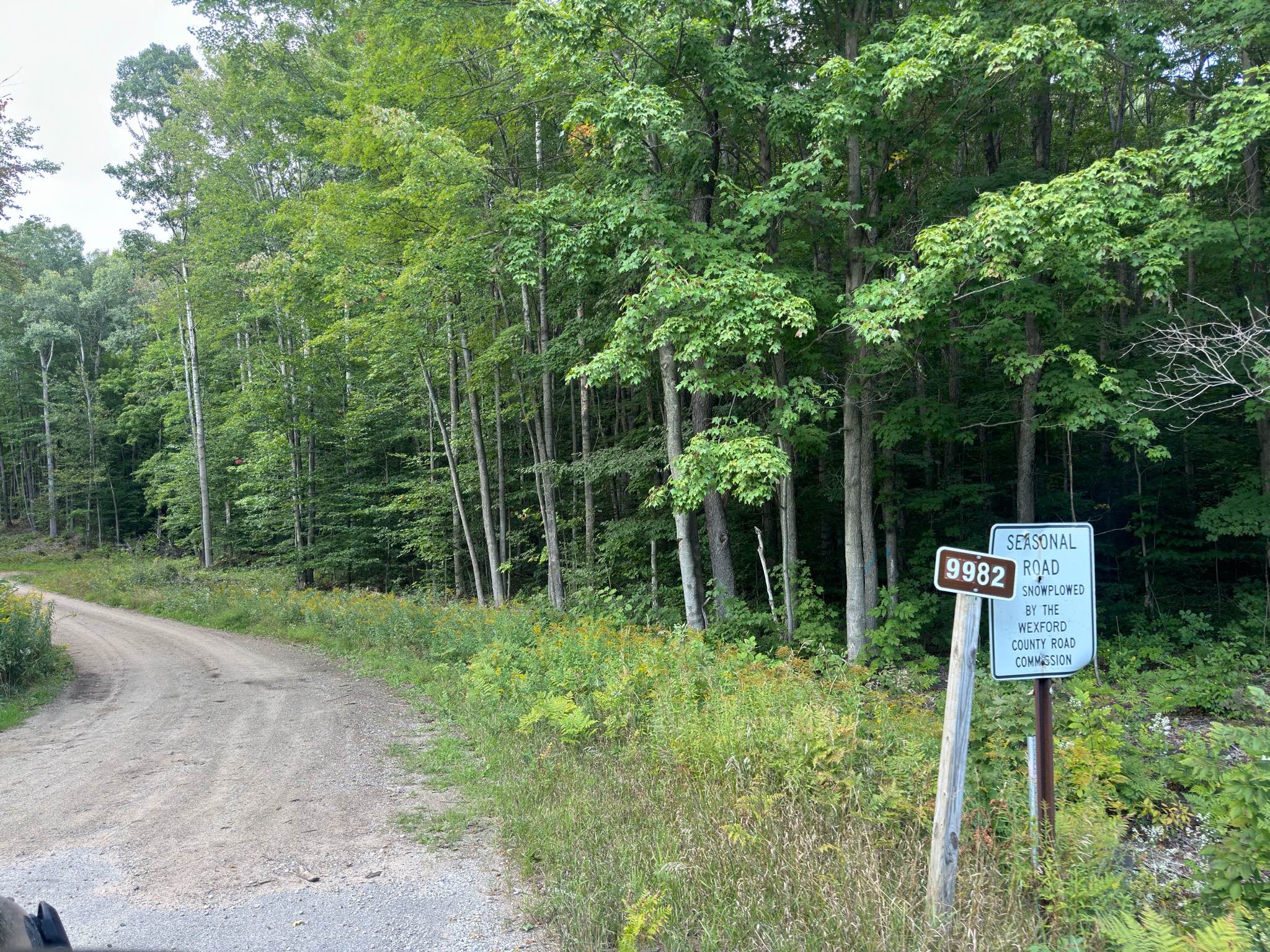 Forest Service Road 9982