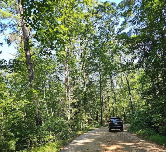 Cavender Gap - FS 236