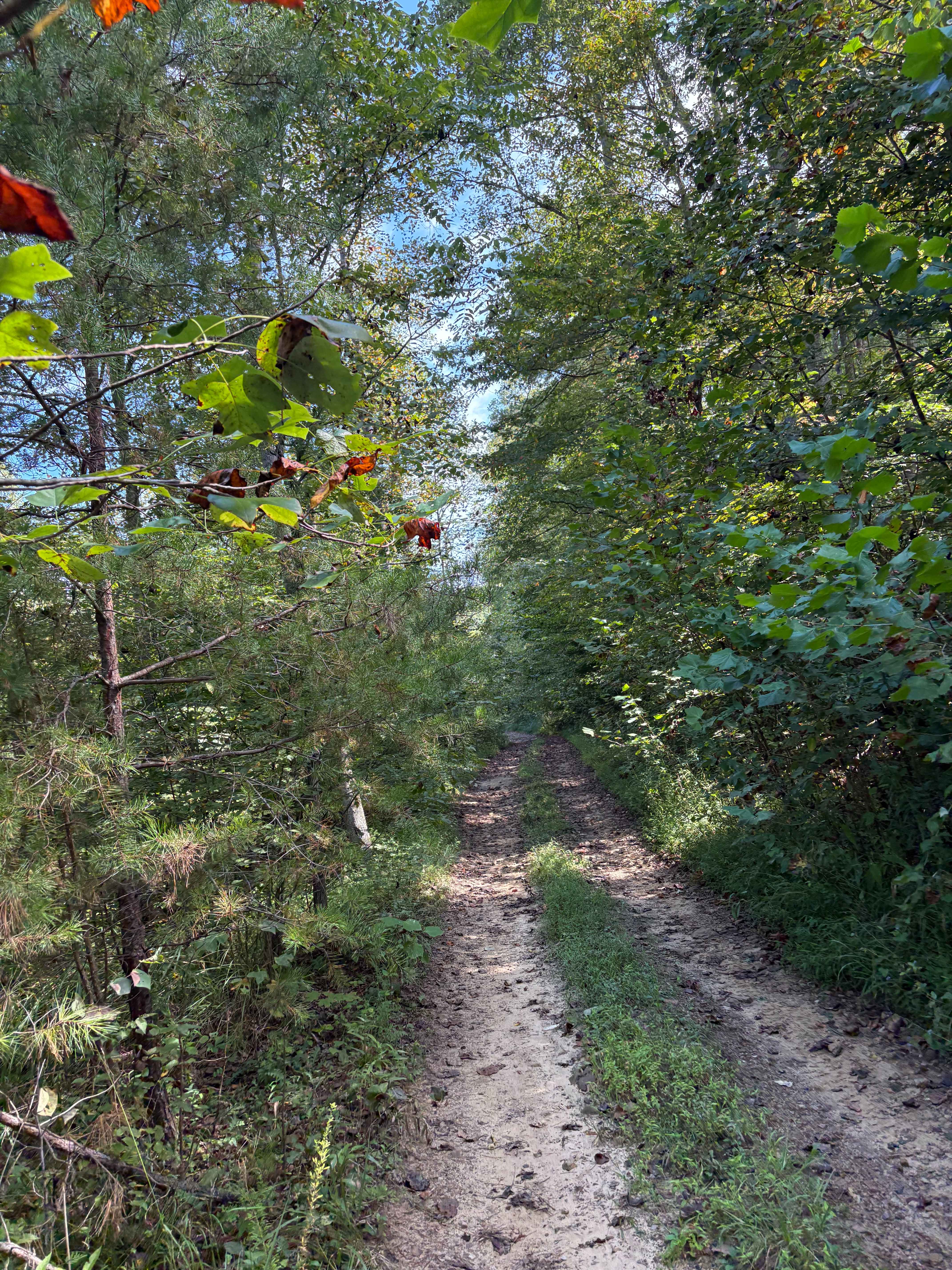 Trail 5 FFAT Boneyard