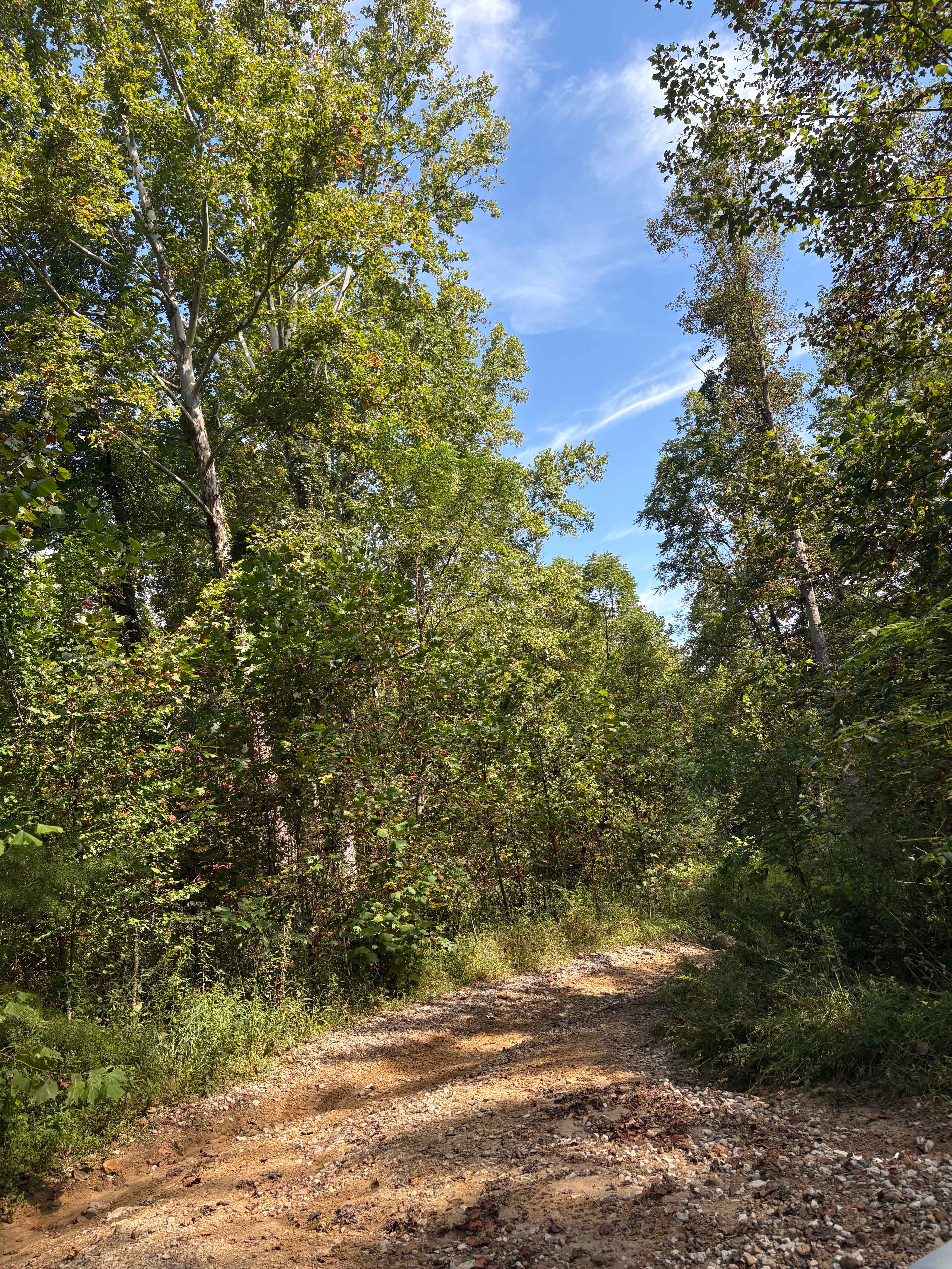 Trail 5 FFAT Boneyard