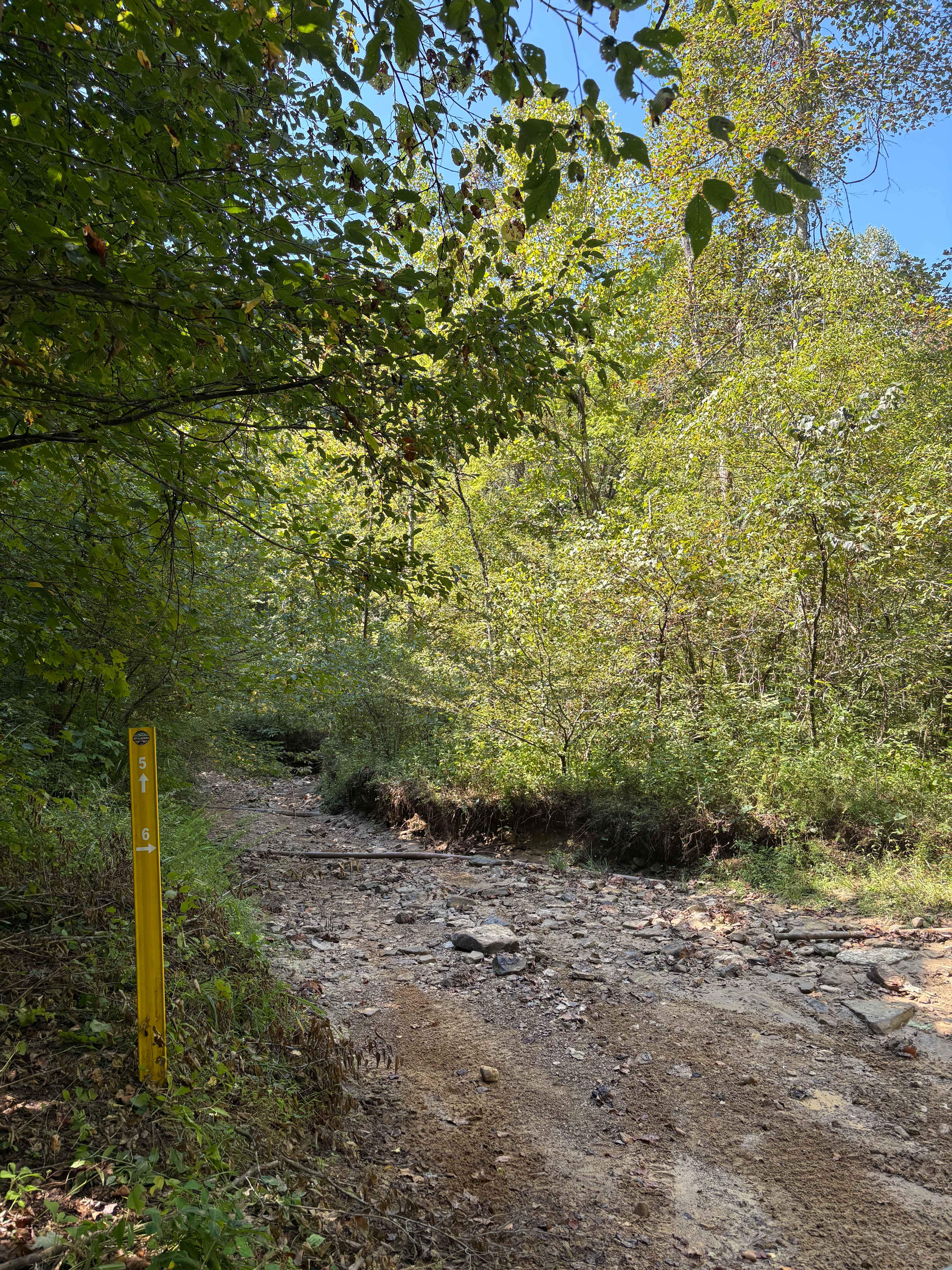 Trail 6 FFAT Boneyard