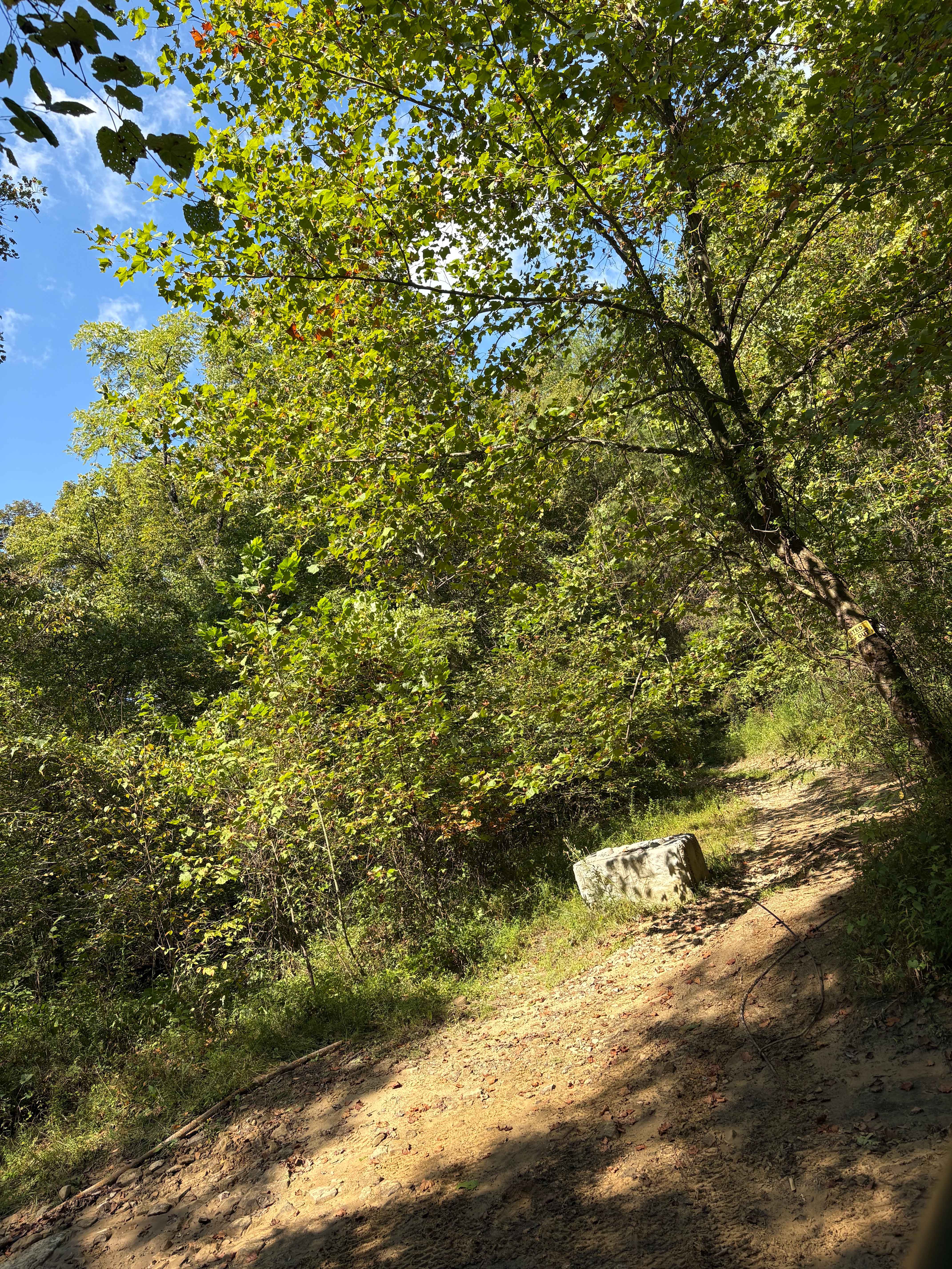 Trail 6 FFAT Boneyard