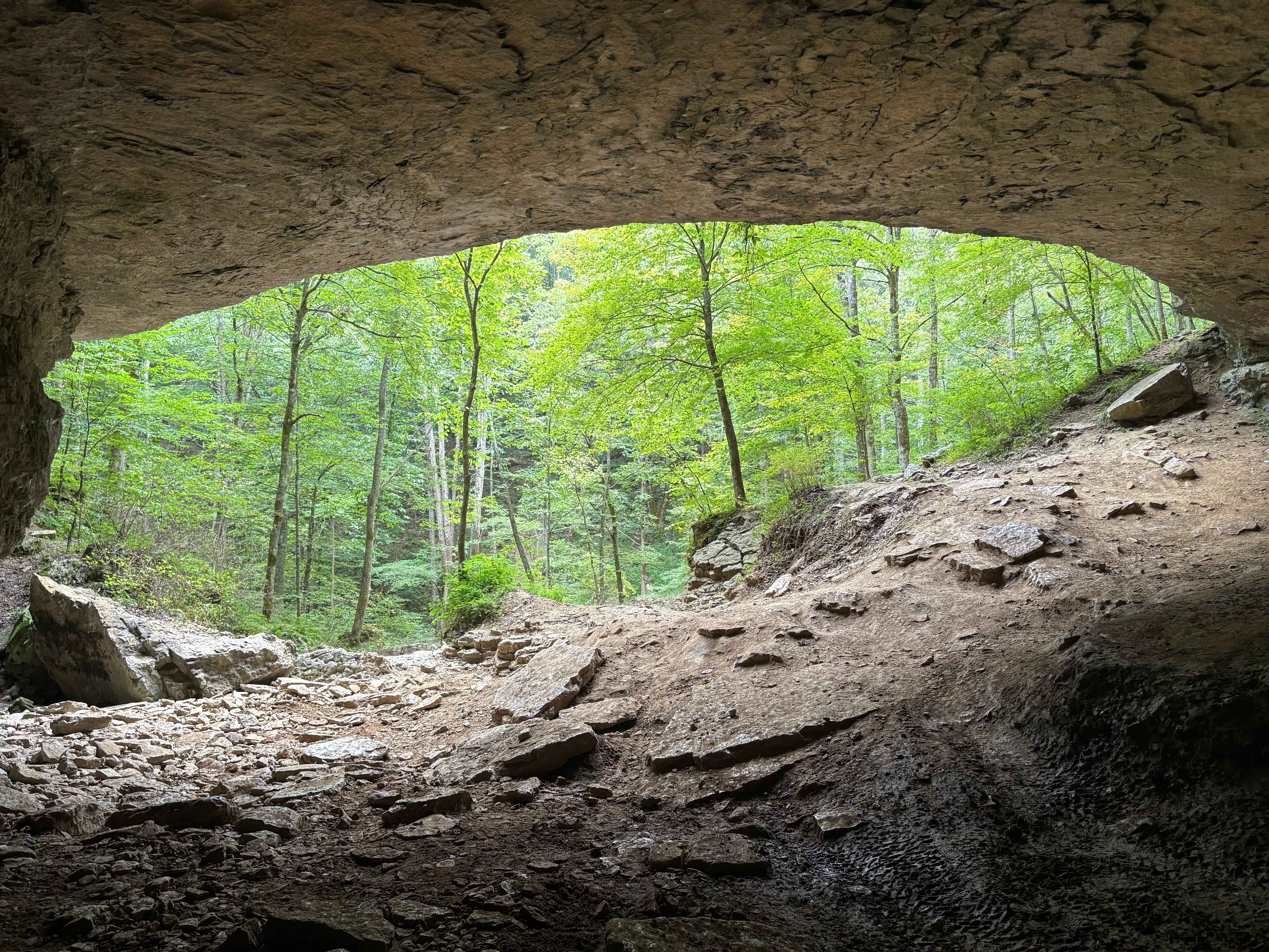 Trail 7 FFAT Boneyard