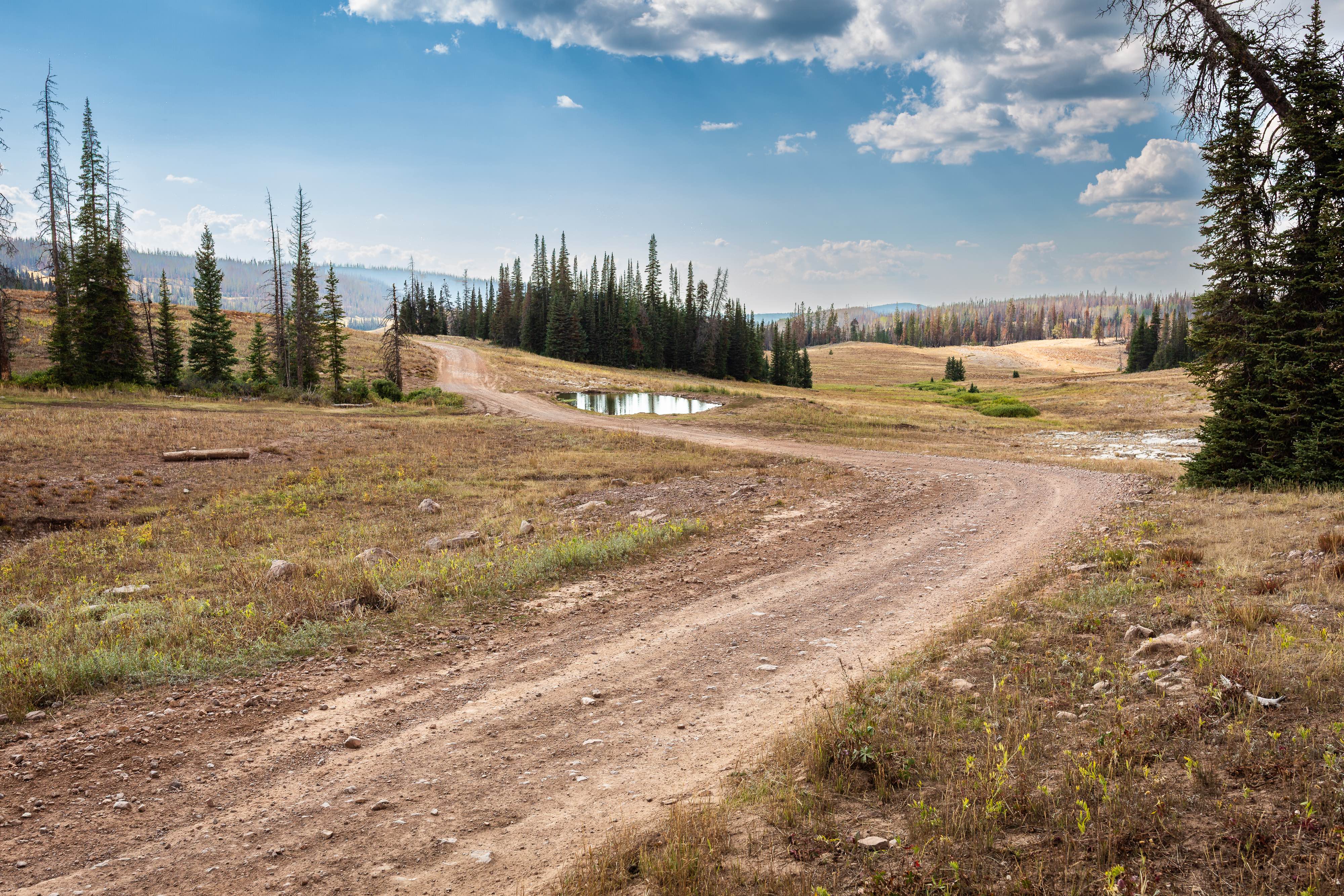 Silver Meadows - FS 70174