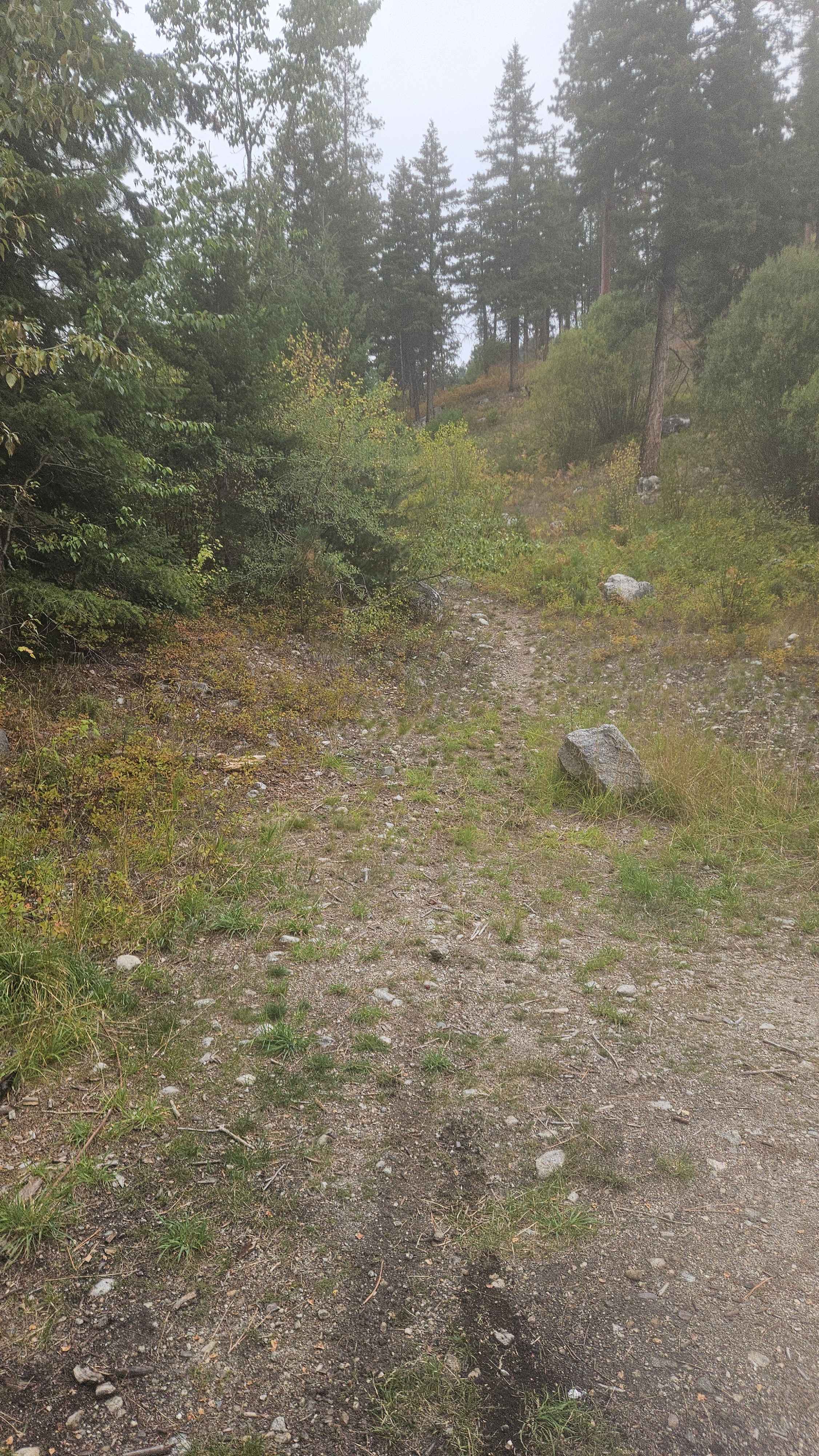 Gash Creek Singletrack
