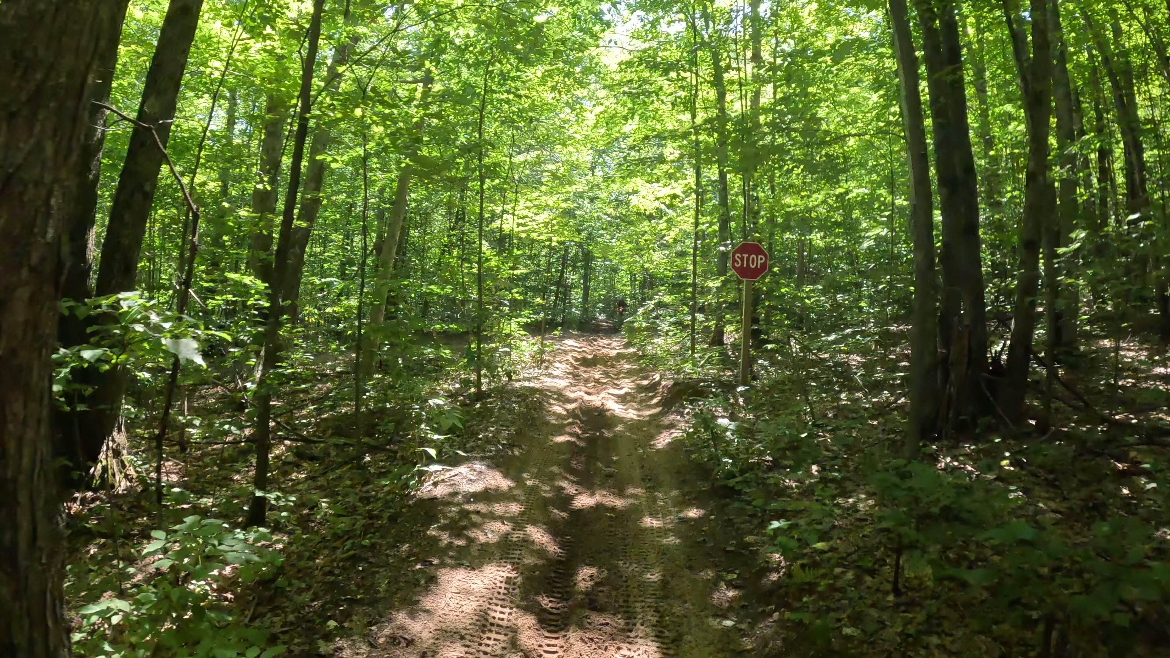 Kalkaska Trial Interconnector