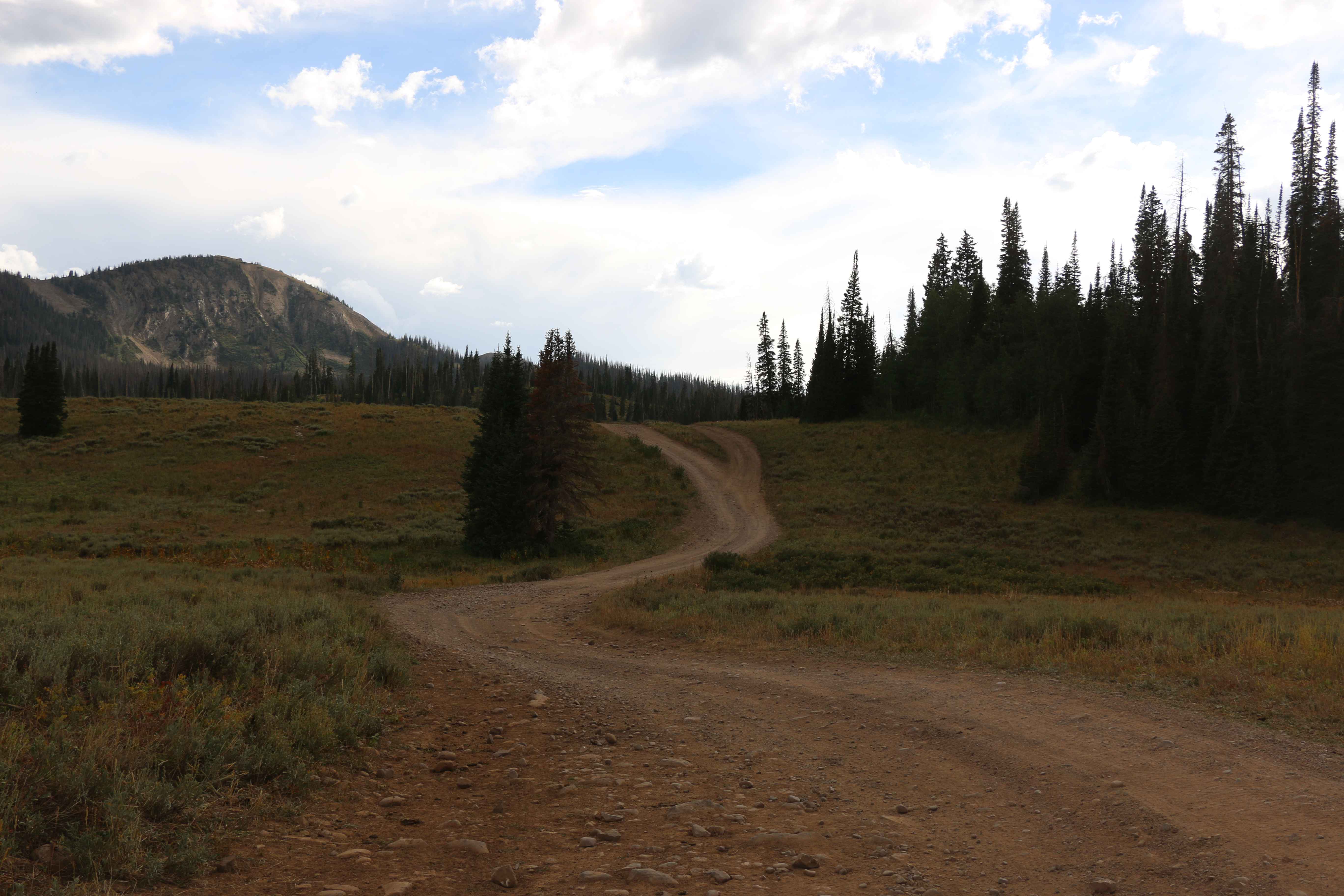 Whitney Reservoir - FS 80069