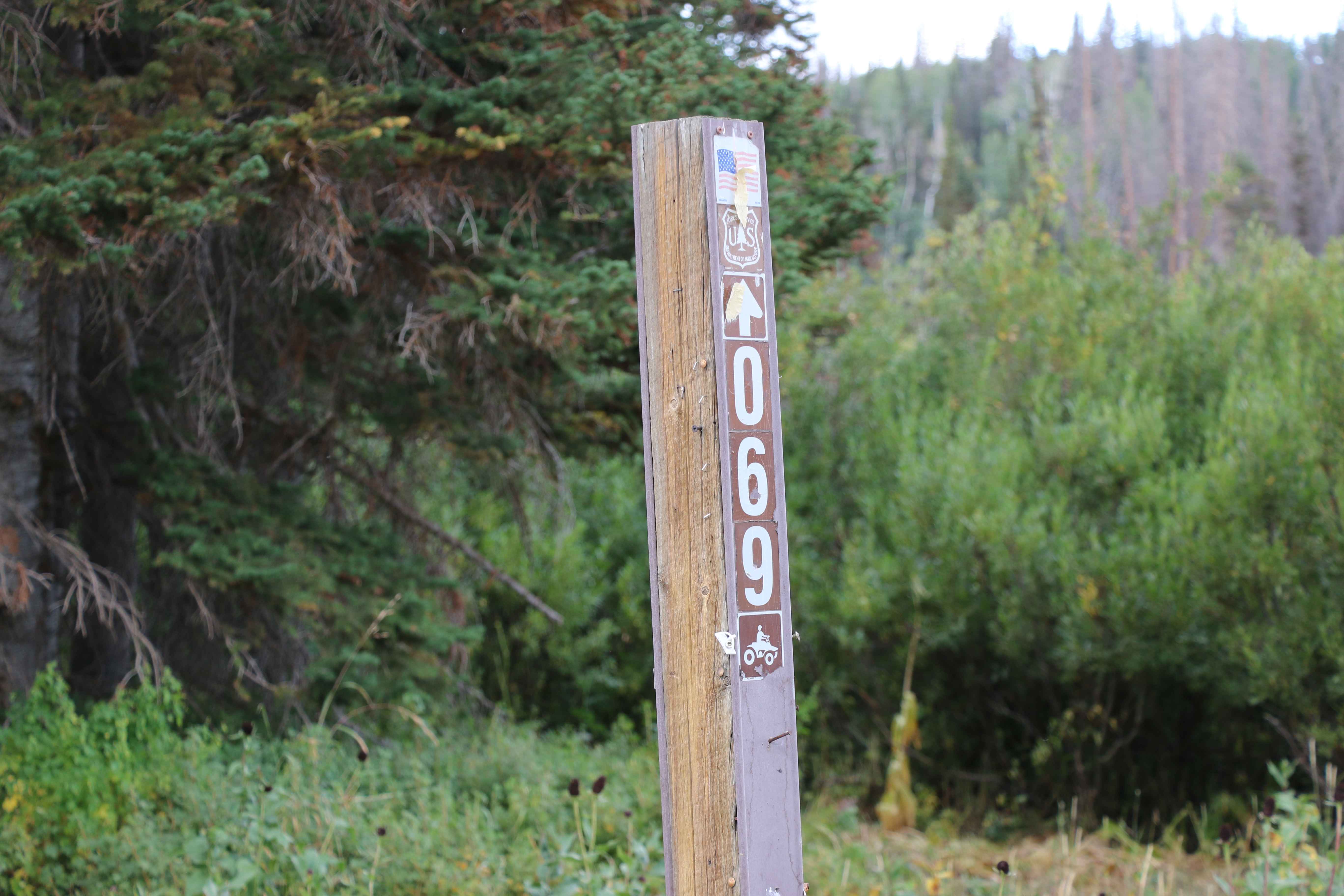 Whitney Reservoir - FS 80069