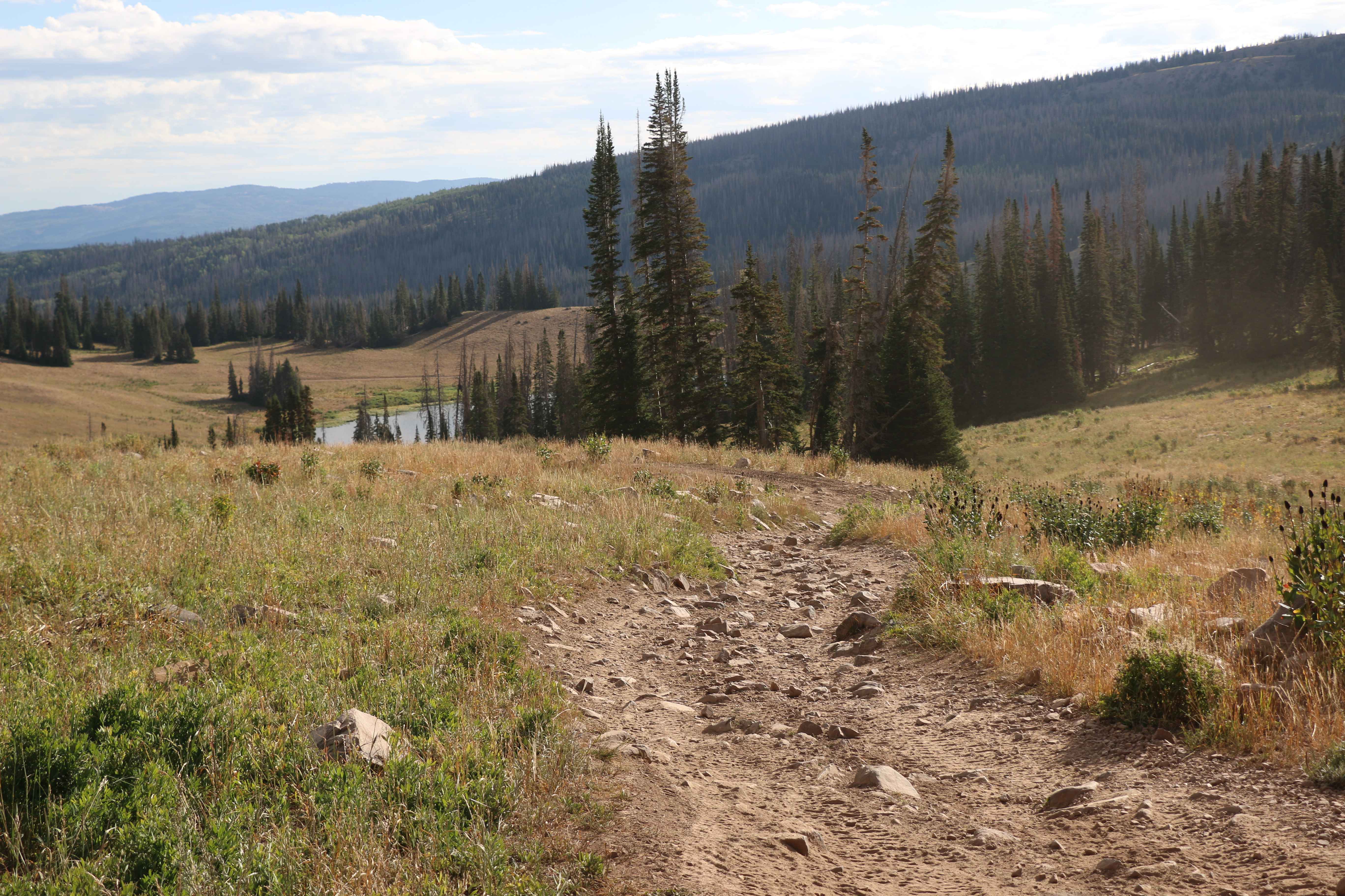 Moffit Pass - FS 80135