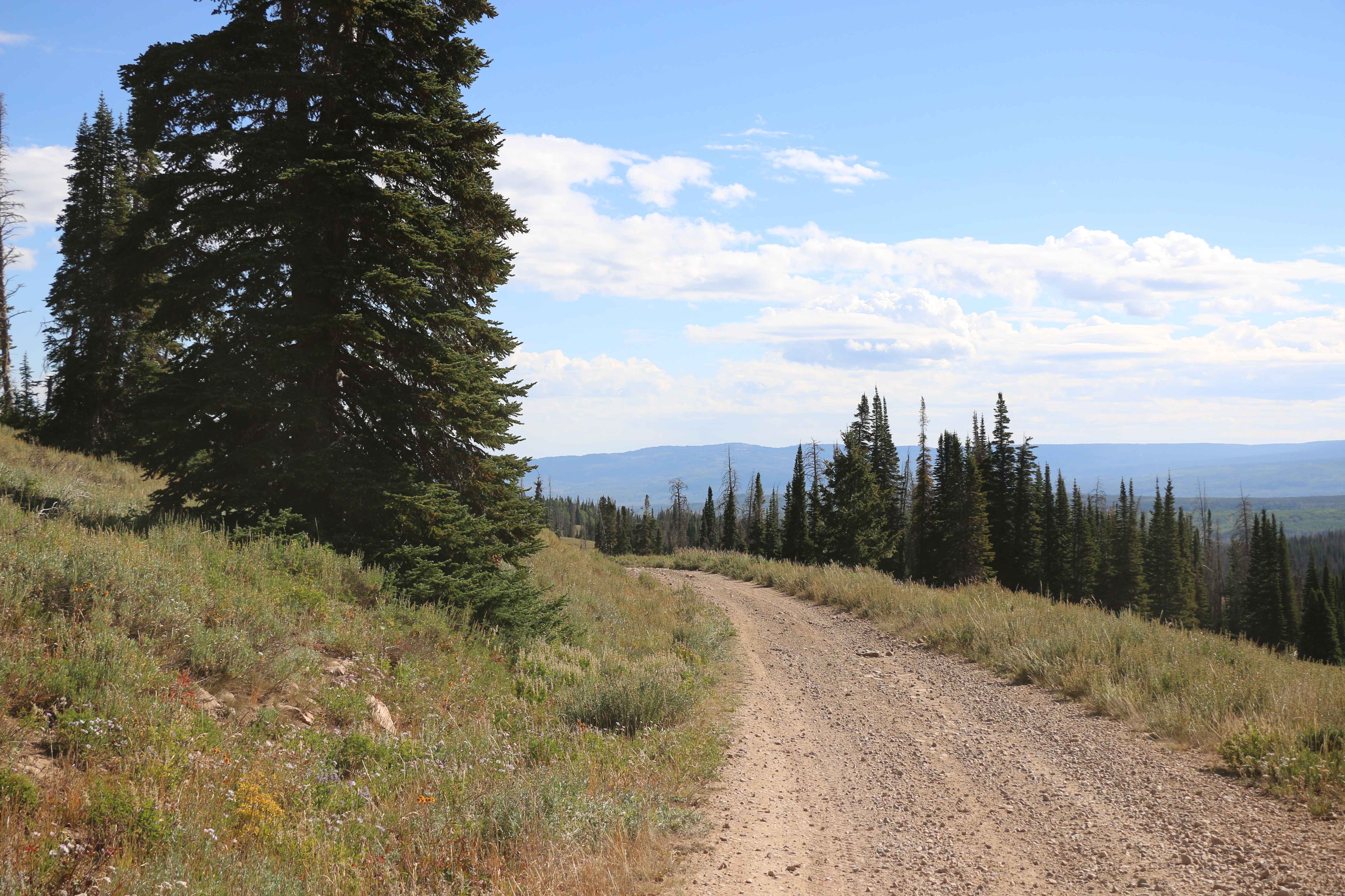 Meadow Creek - FS 80071