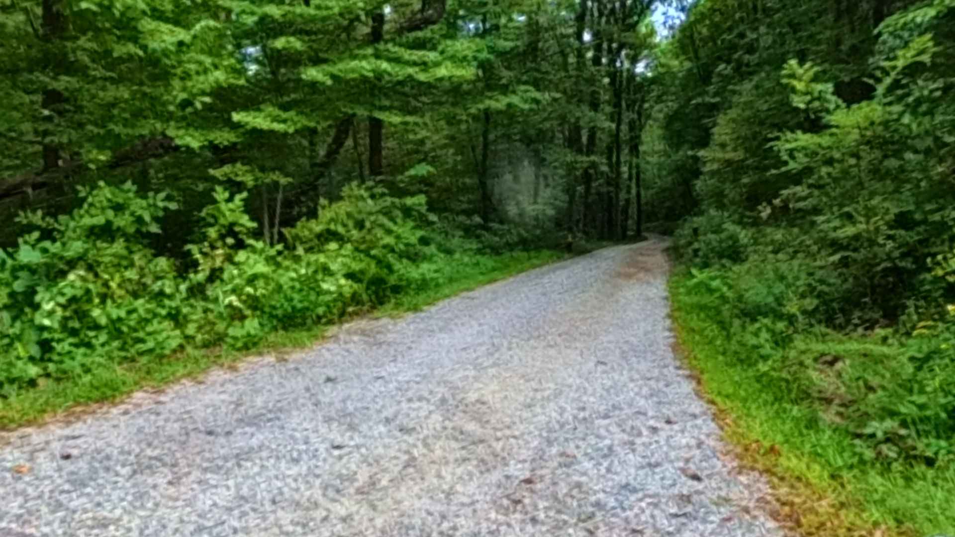 Dockey Lake Recreation Area Trail