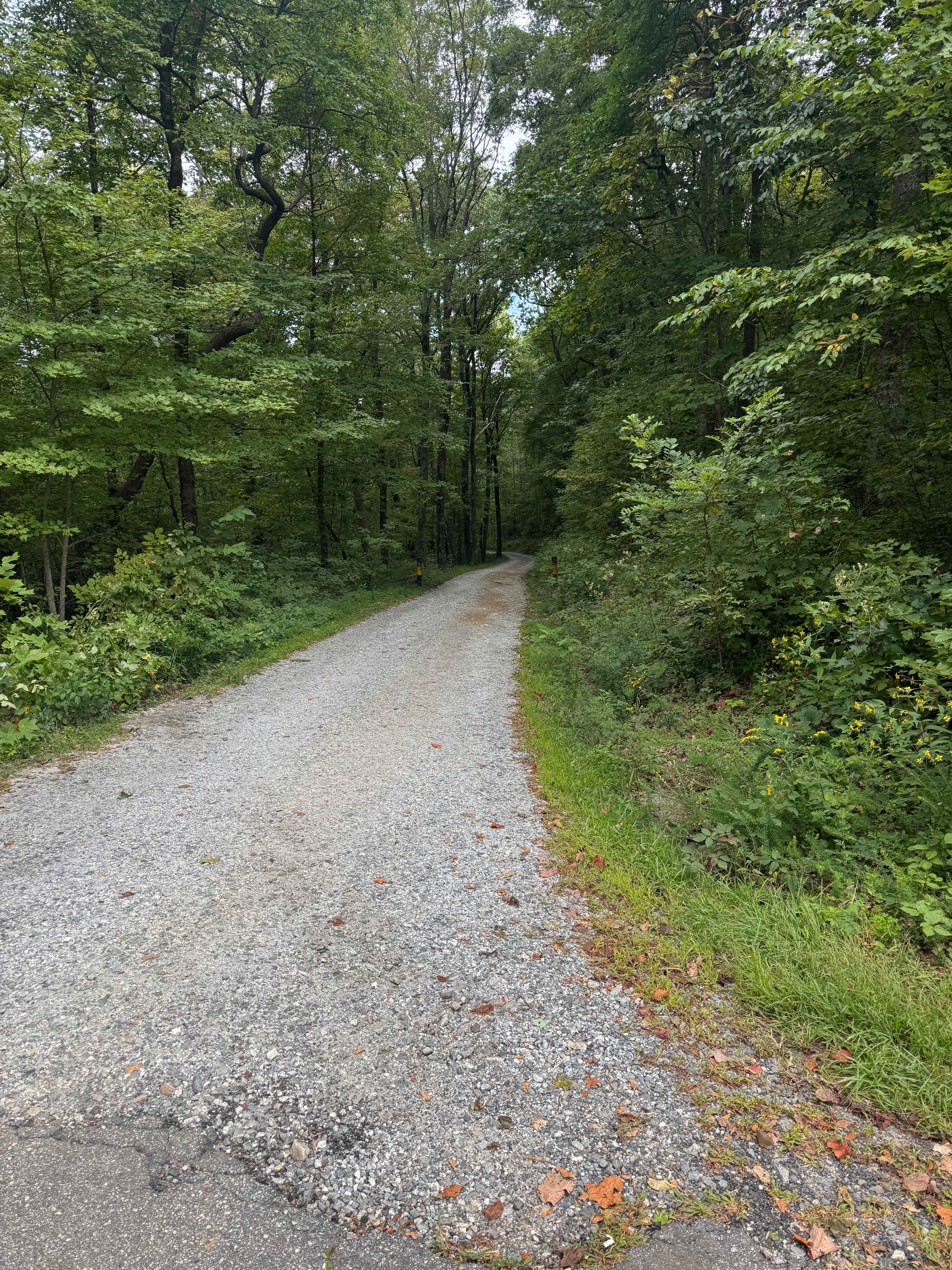 Dockey Lake Recreation Area Trail