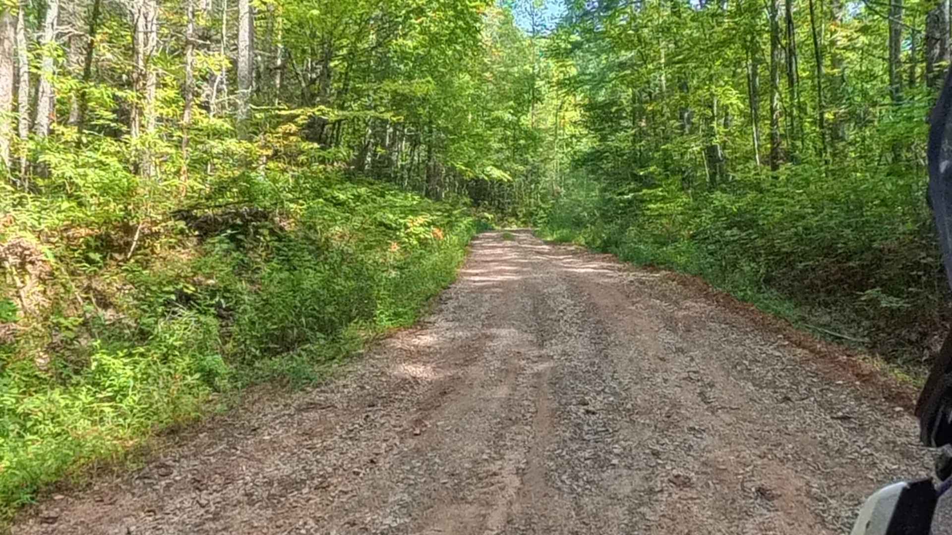 Chester Knob Upper Trail