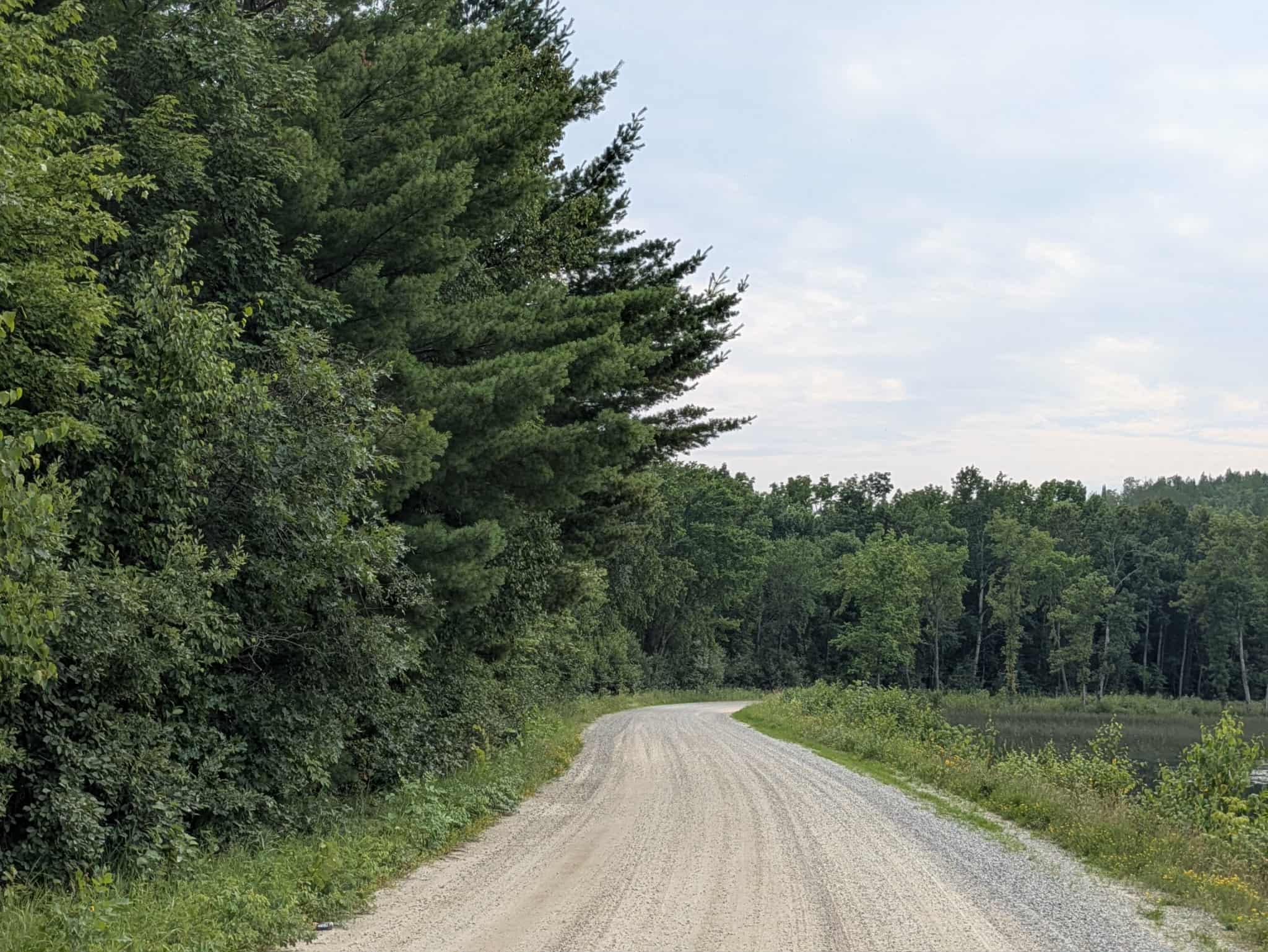 Forest Service Road 203