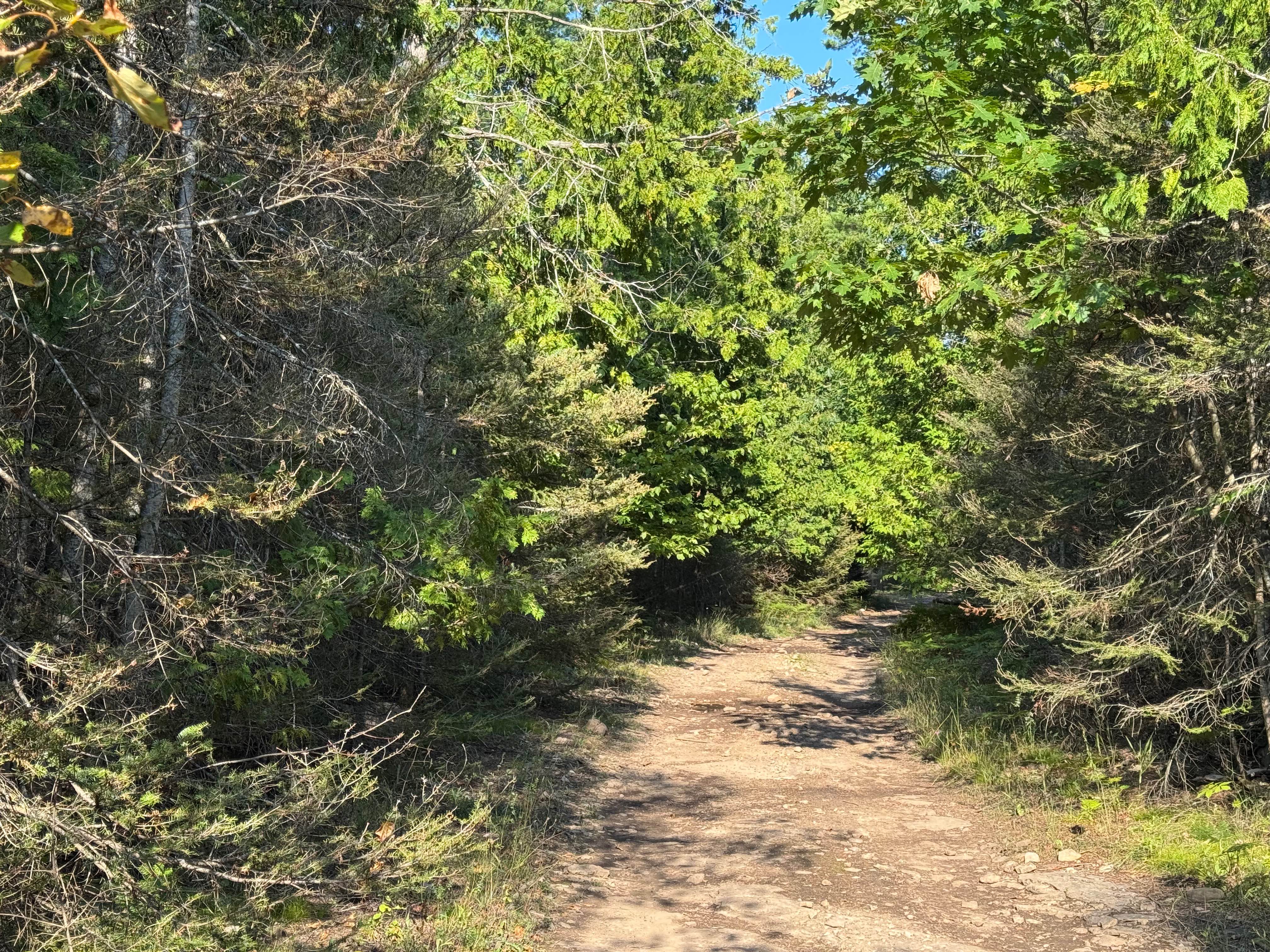 Island Isolation Trail