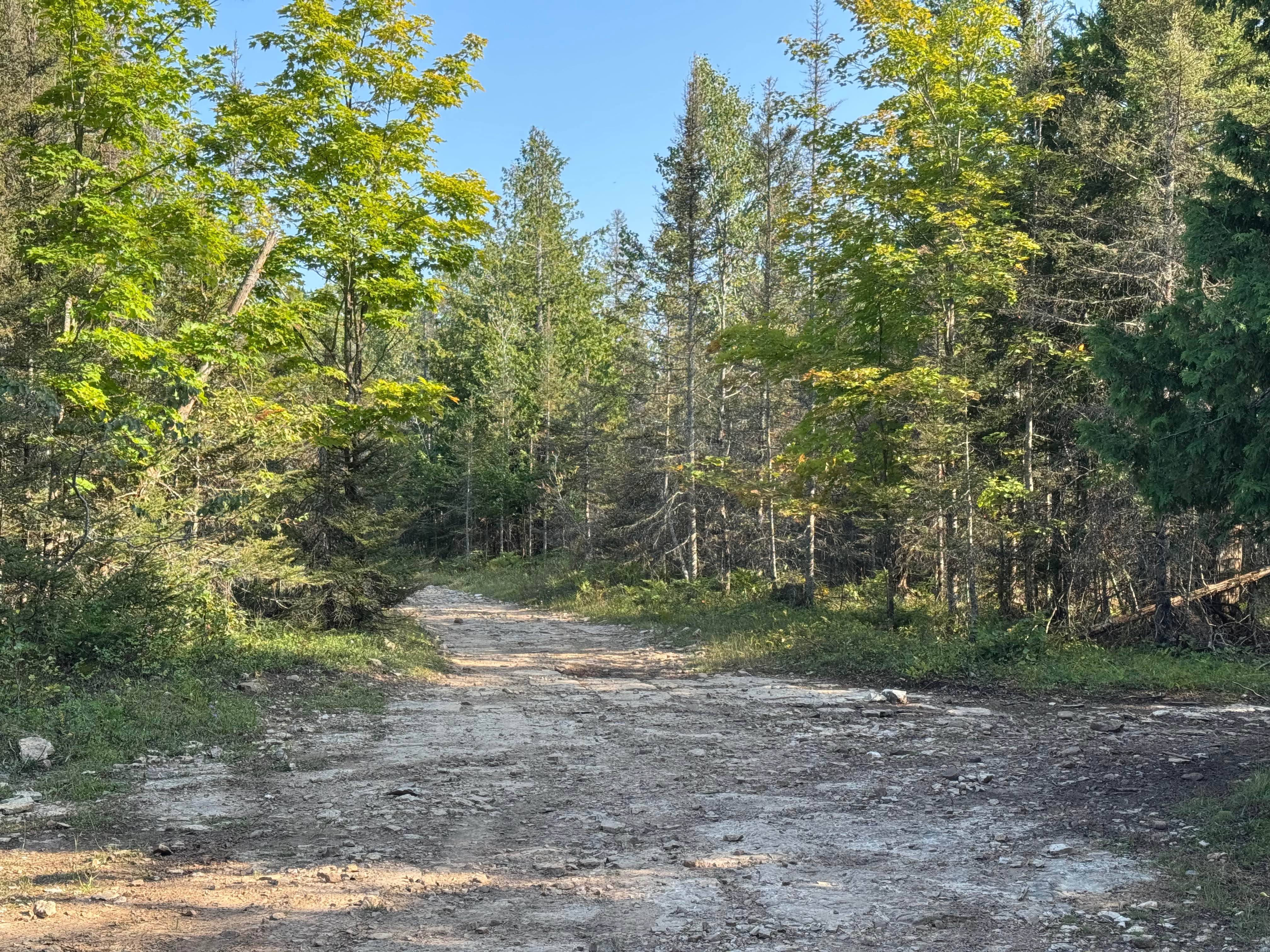Island Isolation Trail