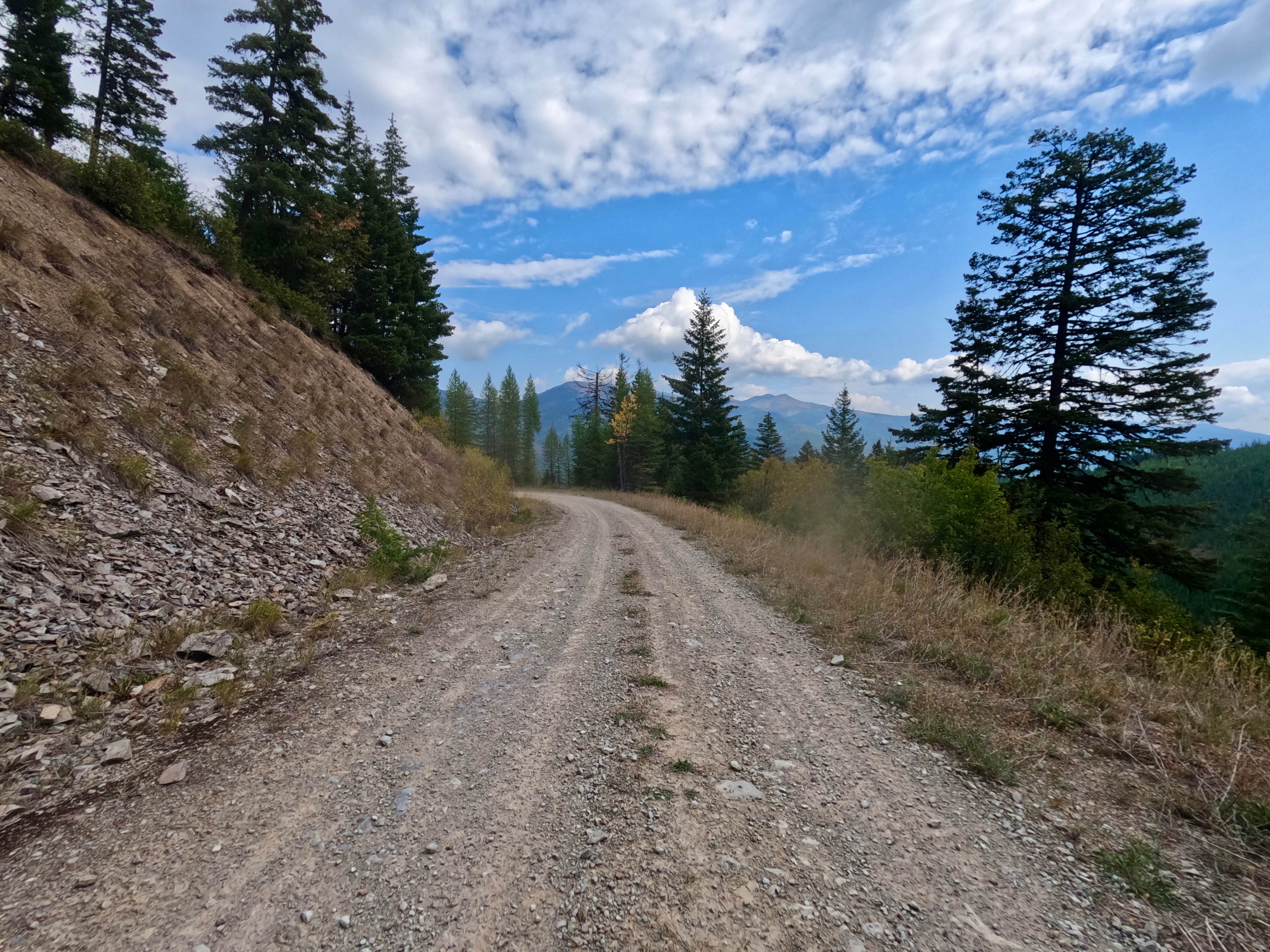 West Side Nine Mile Road