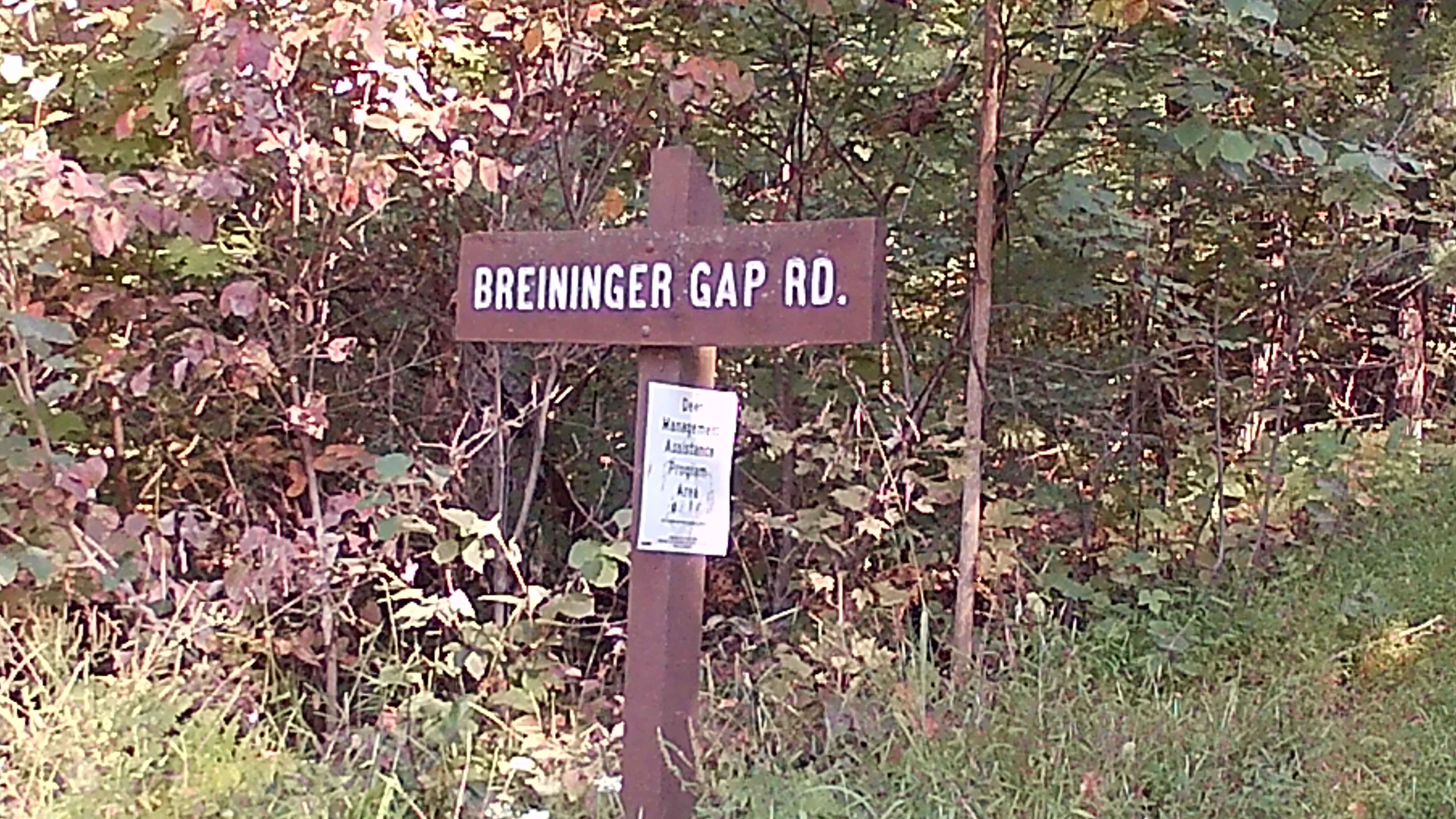 Breininger Gap Road