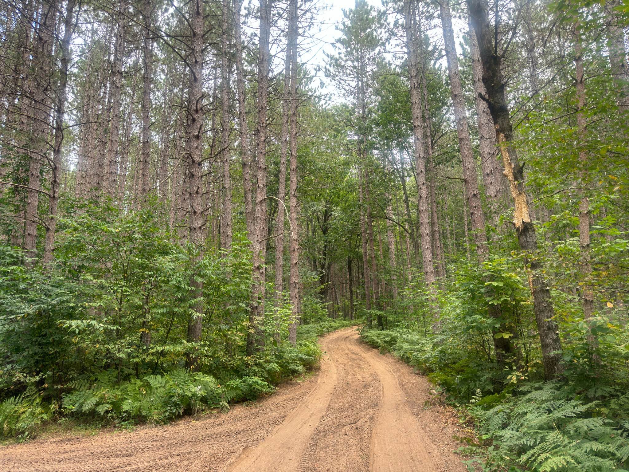 North Slagle Creek Road