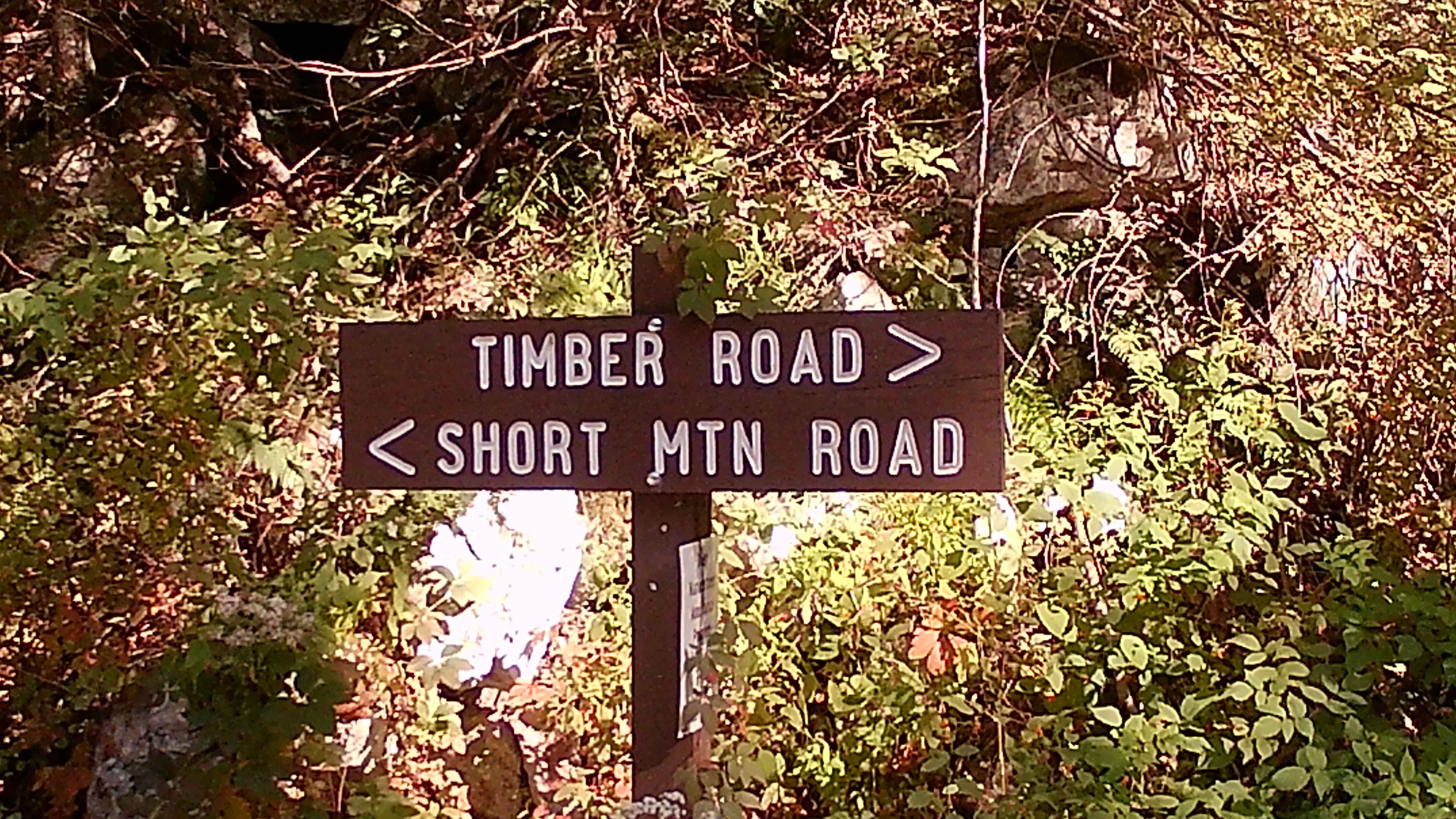 Timber Road