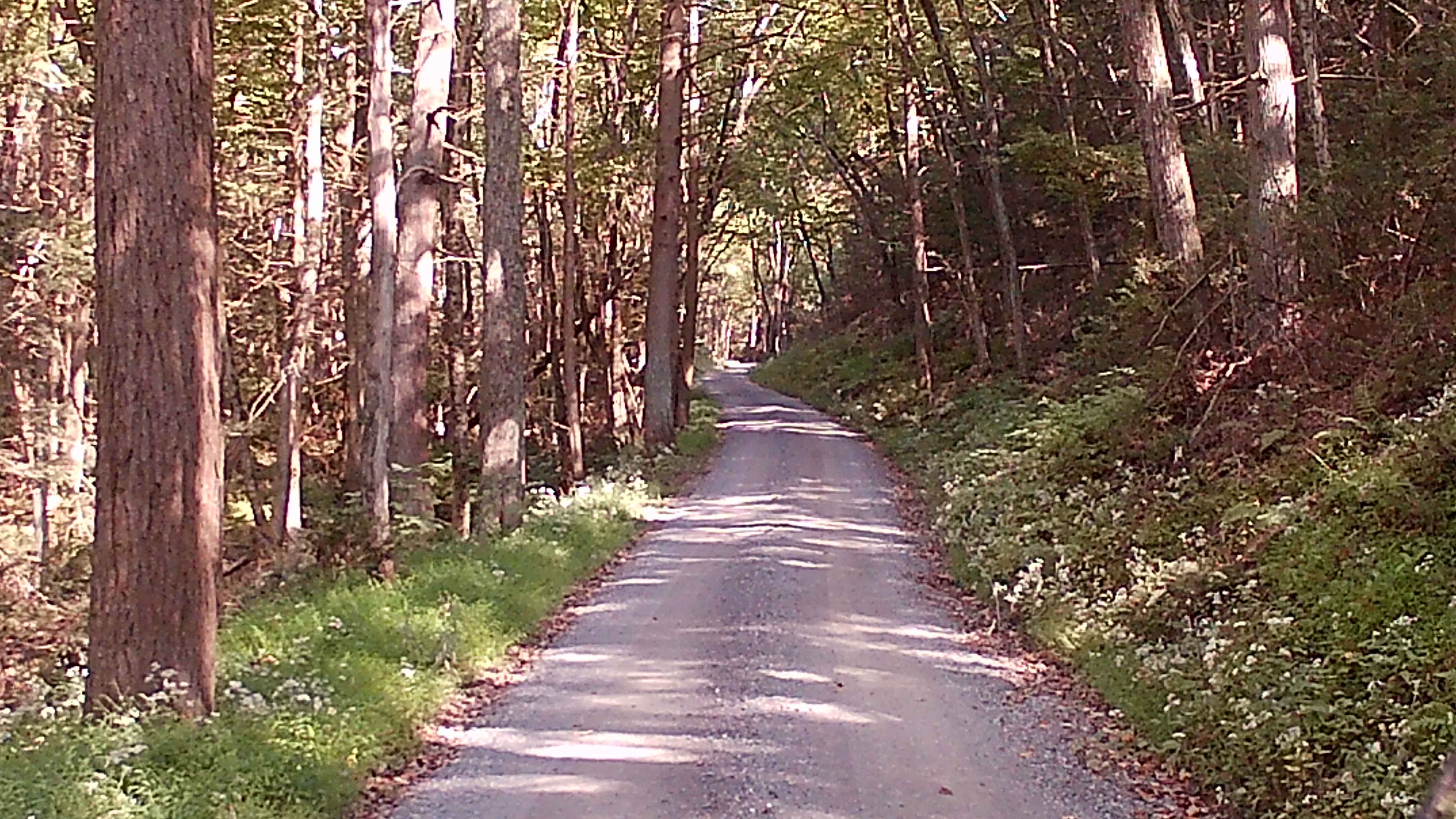 Short Mountain Road