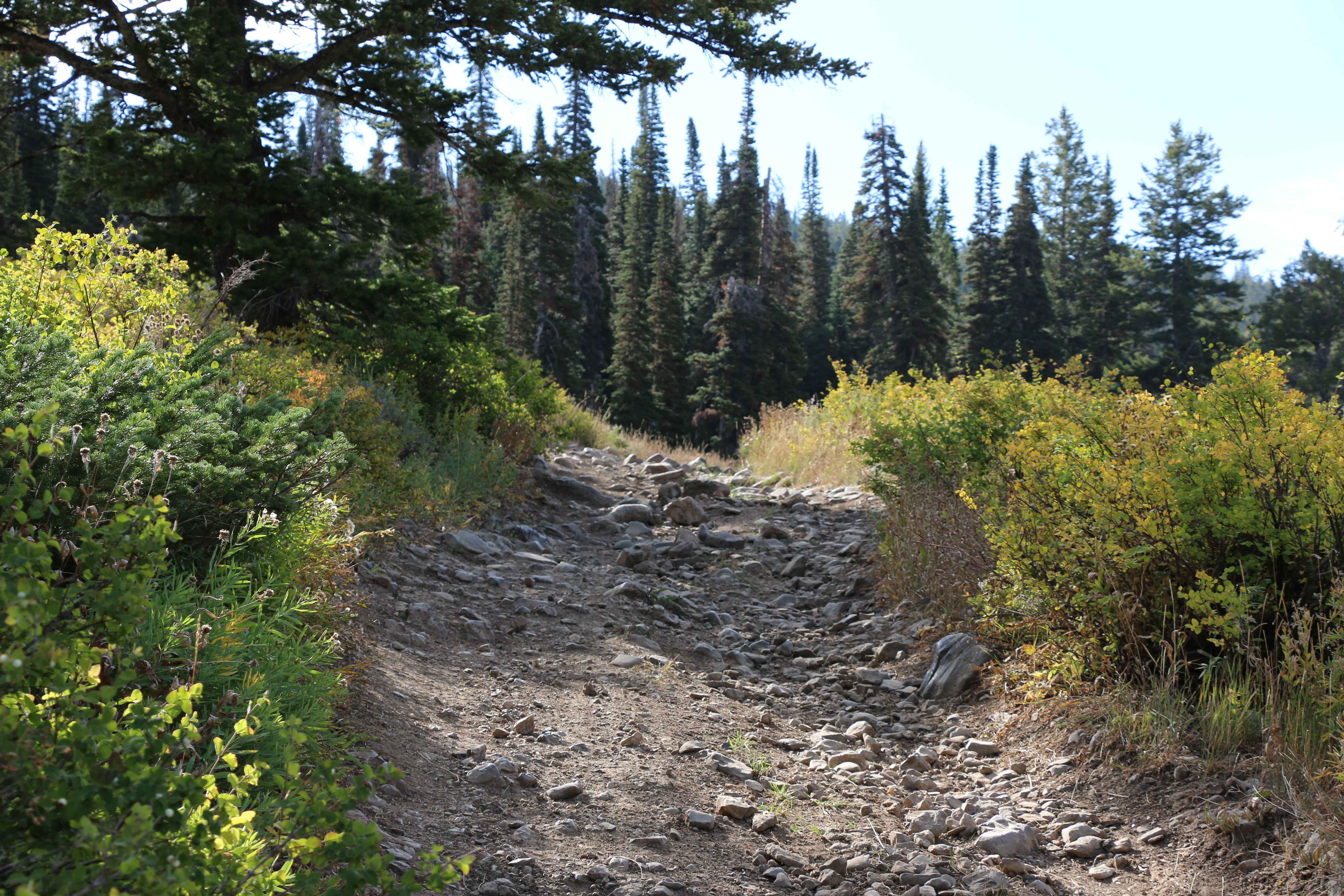 Inspiration Point - FS 20126