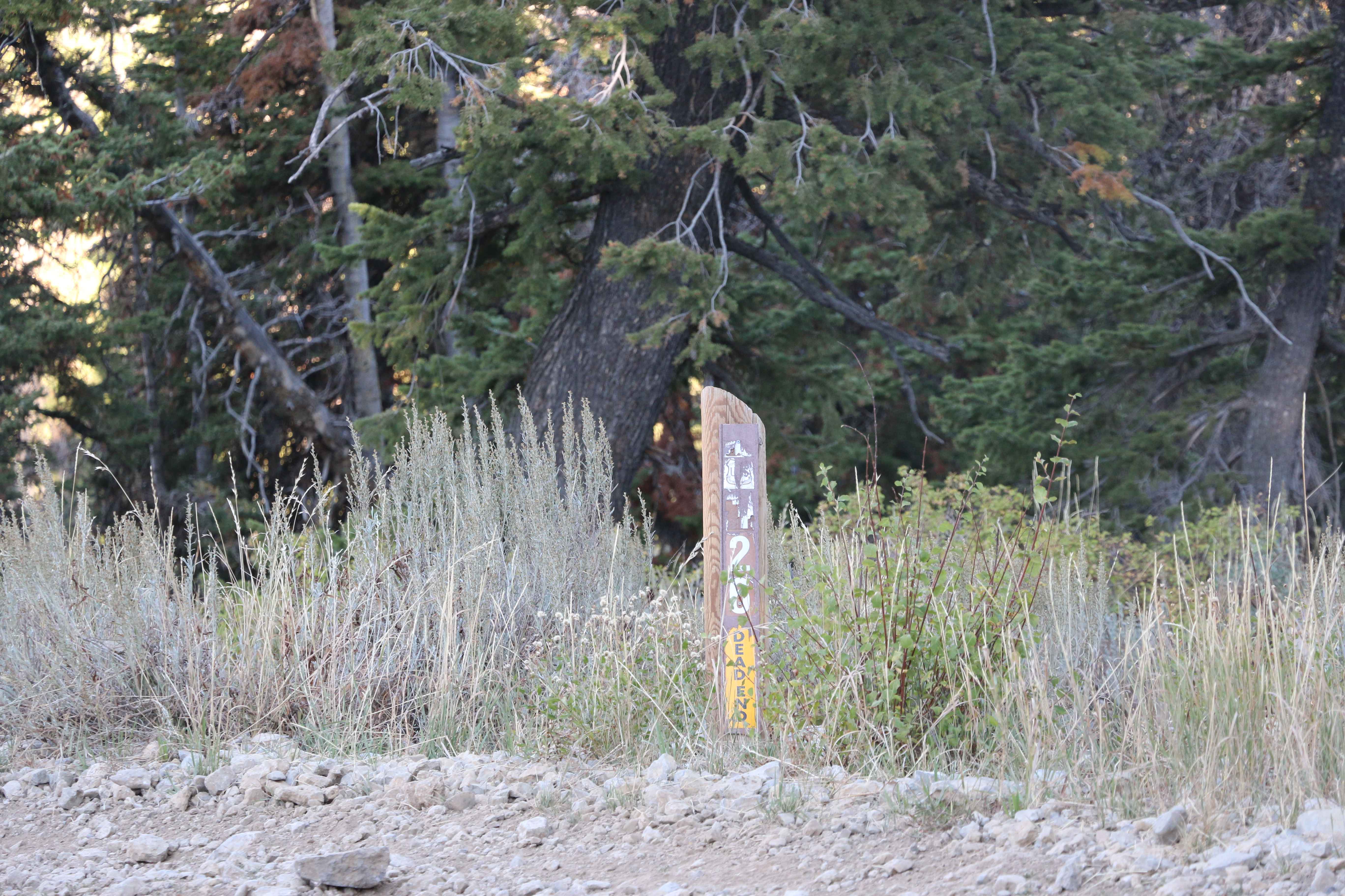 Inspiration Point - FS 20126