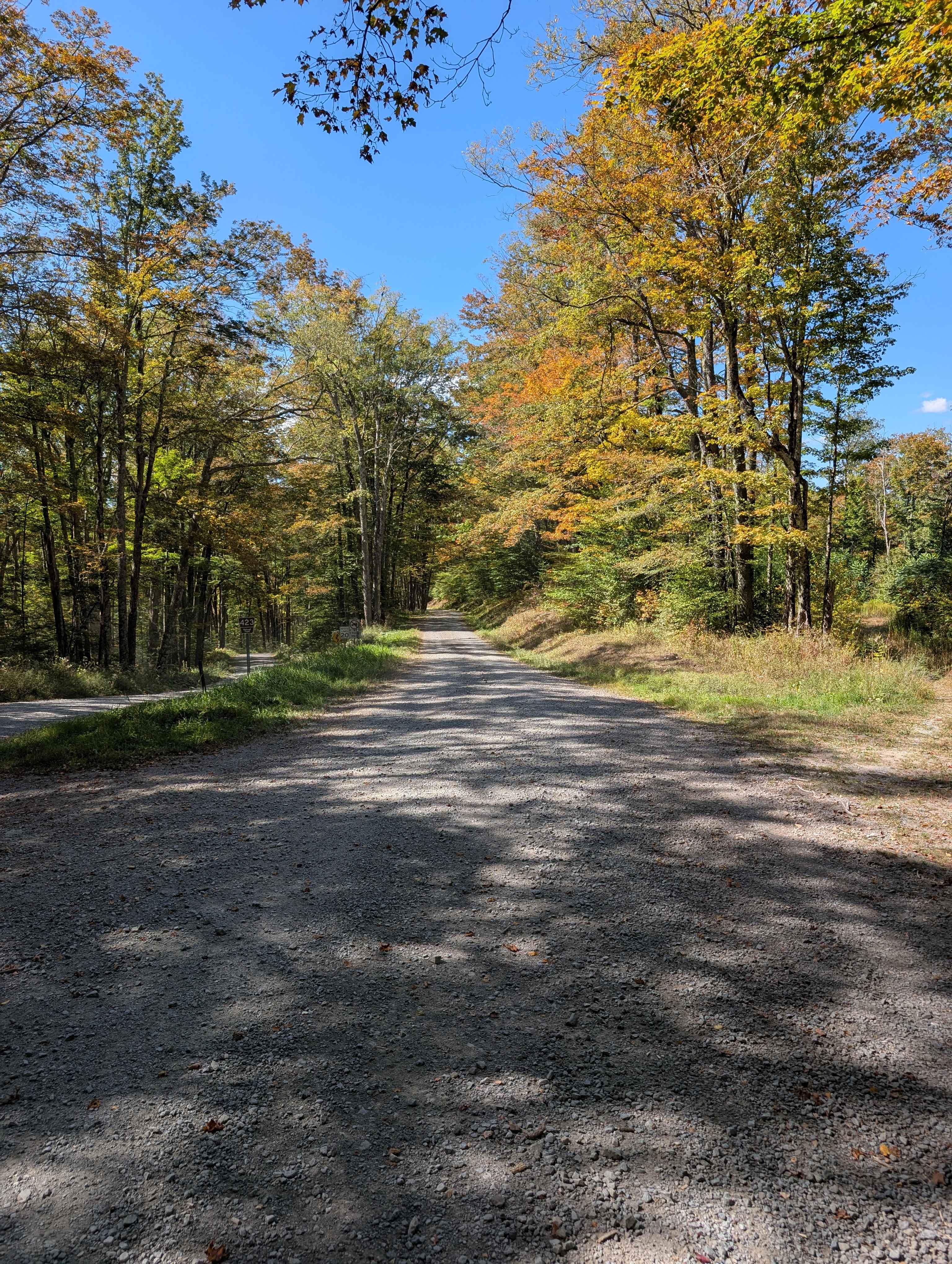 Laurel Fork Overlook