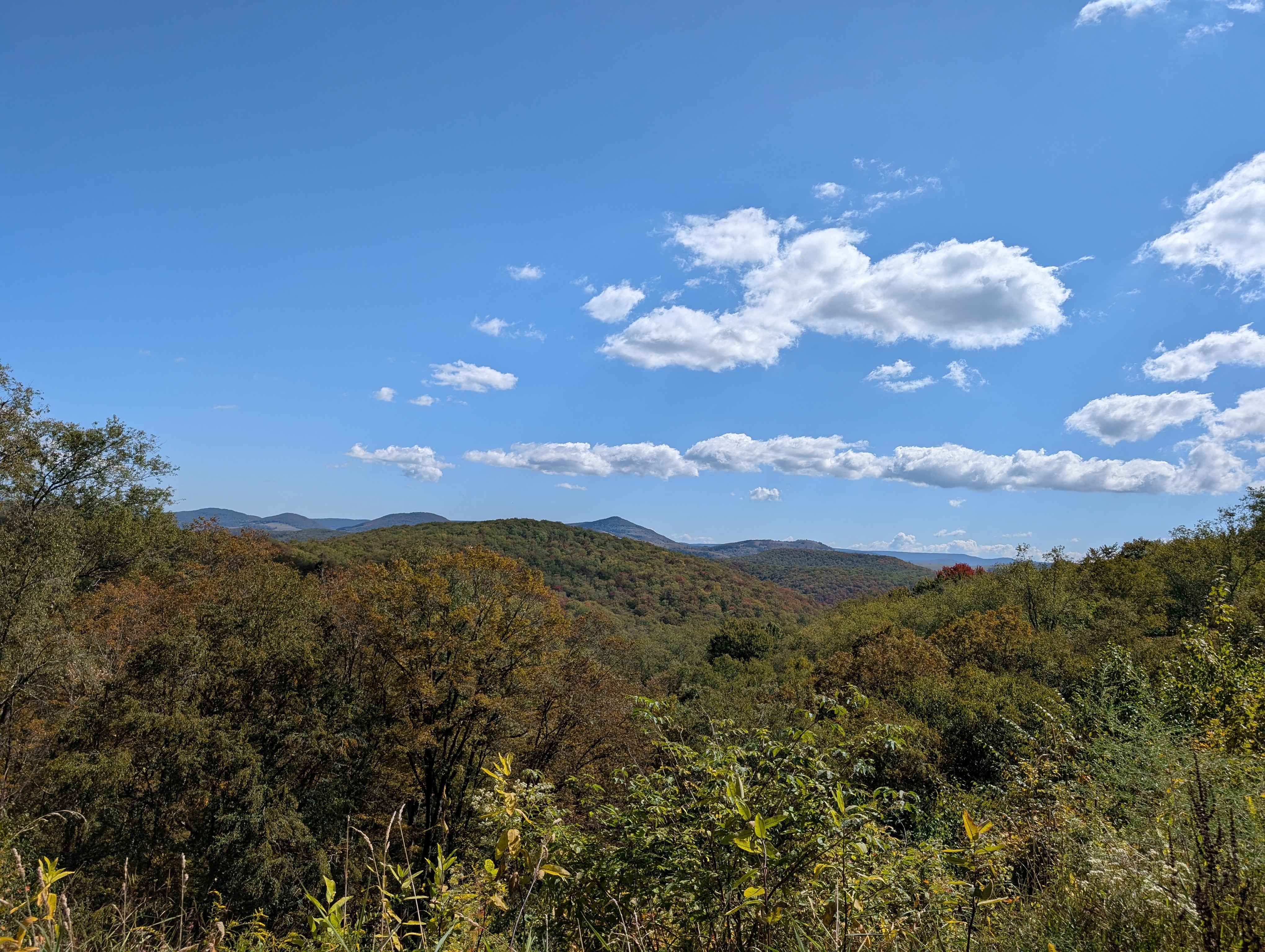 Laurel Fork Overlook