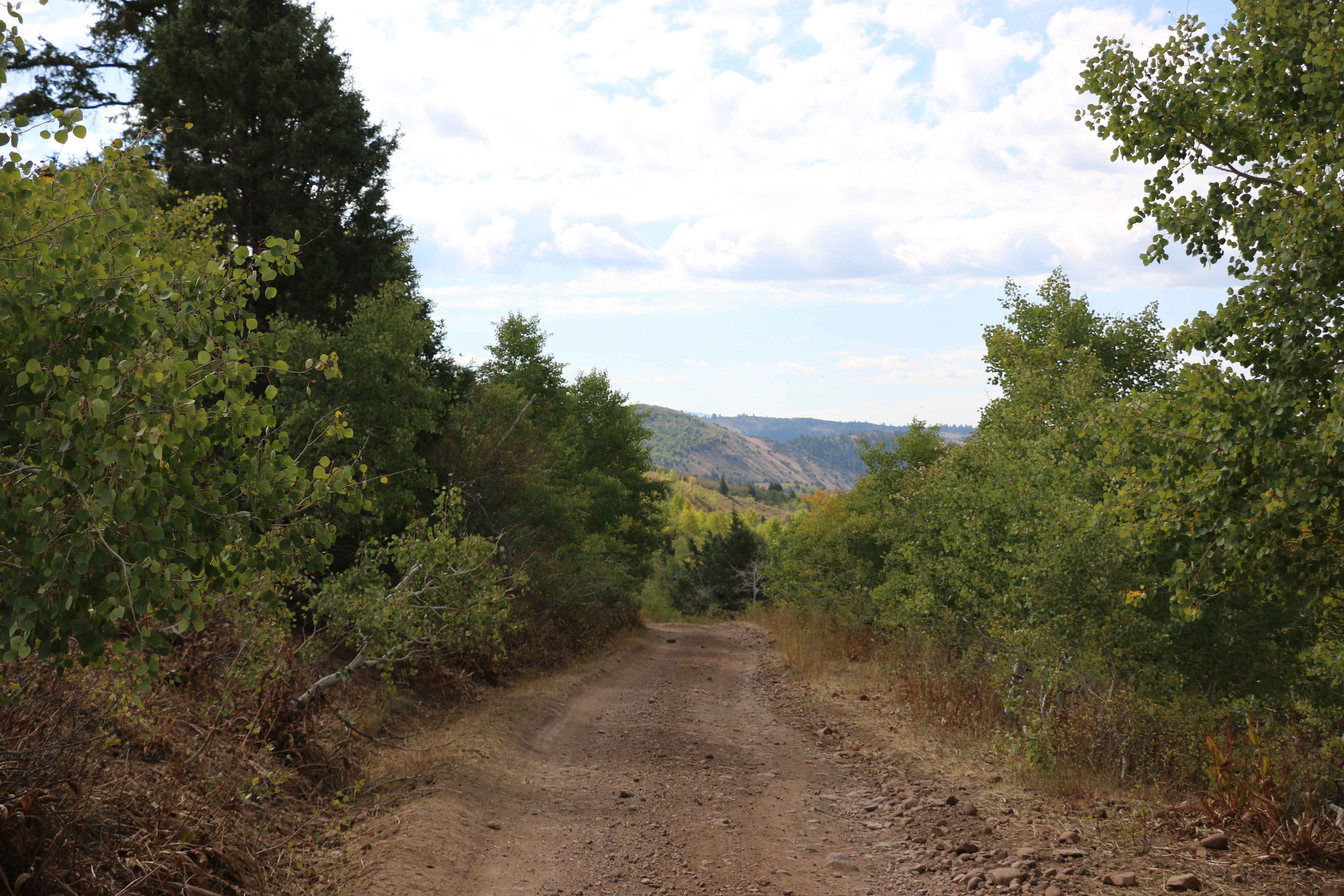 Cowley Canyon-Herd Hollow - FS 20047