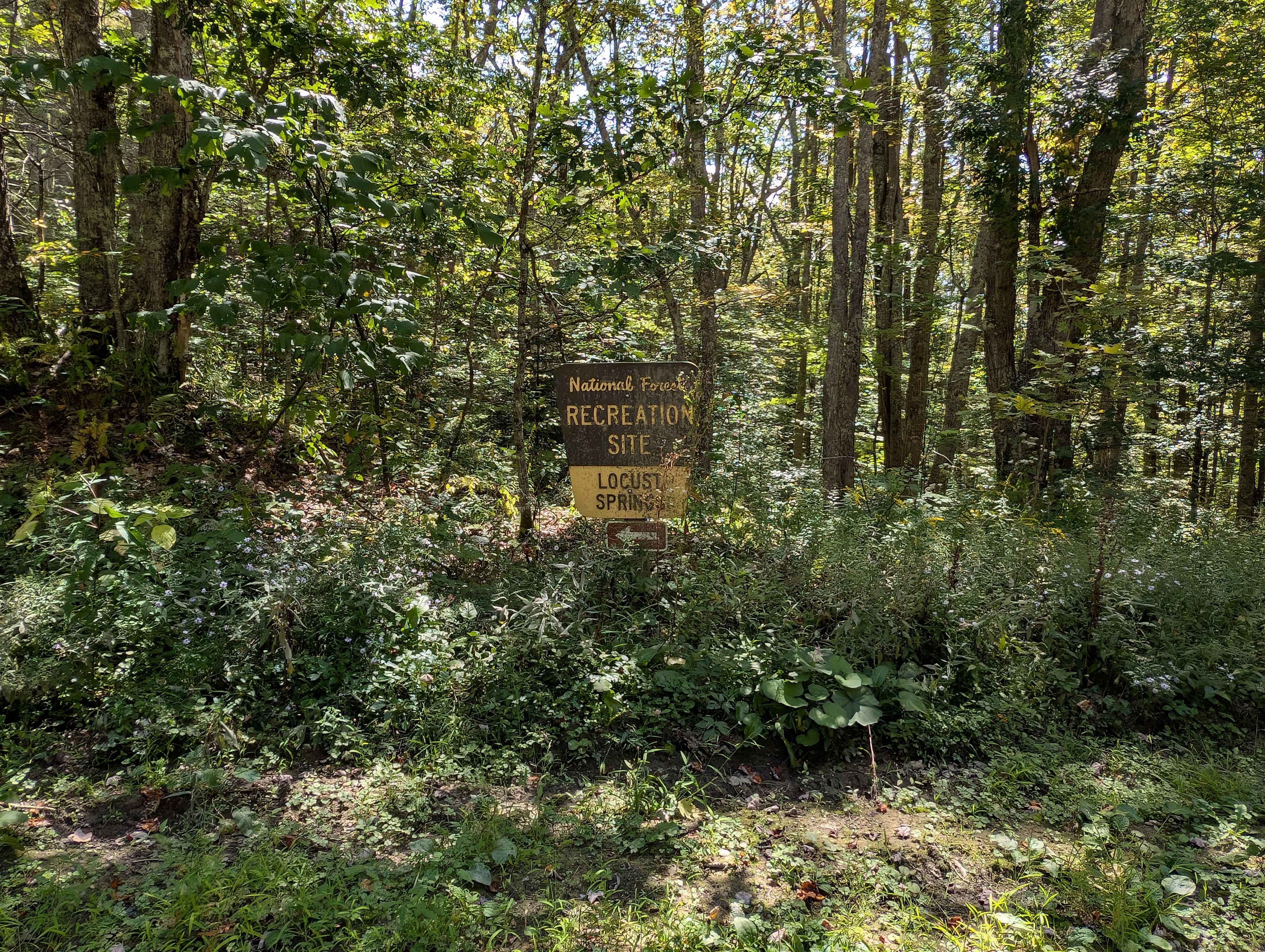 Owl Knob Hollow Connector